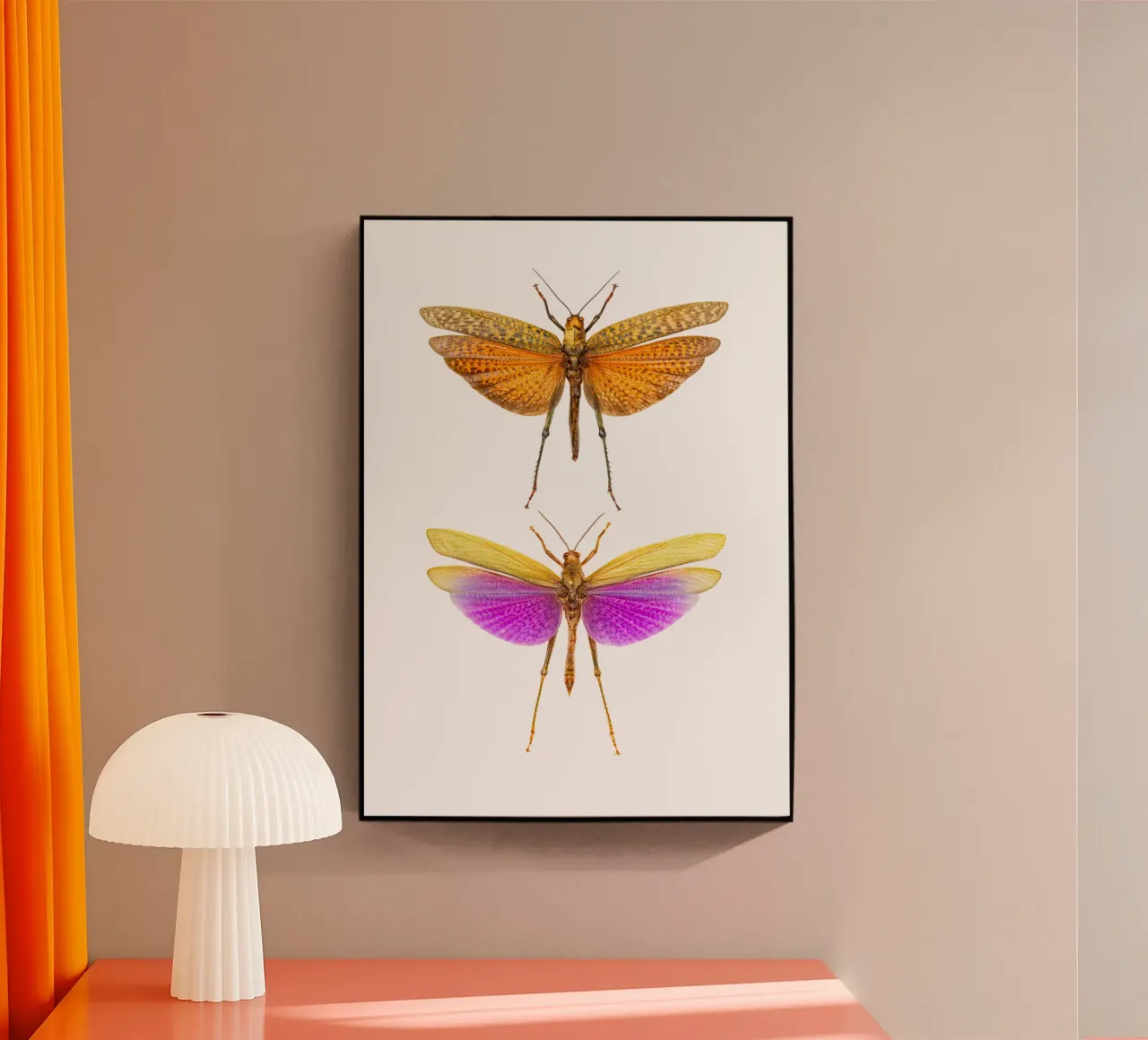 Armonia colorata: Grilli plexiglass da Curious Collections by Marielle Leenders