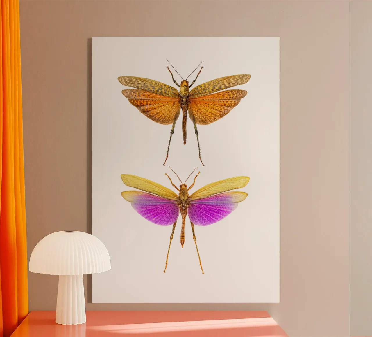 Armonia colorata: Grilli plexiglass da Curious Collections by Marielle Leenders