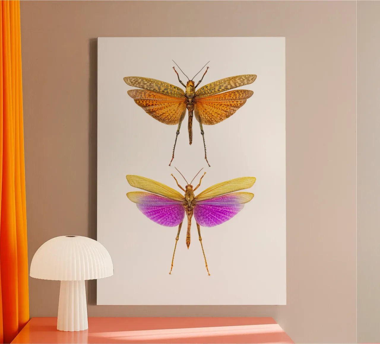 Kleurrijke harmonie: Krekels canvas met Baklijst van Curious Collections by Marielle Leenders