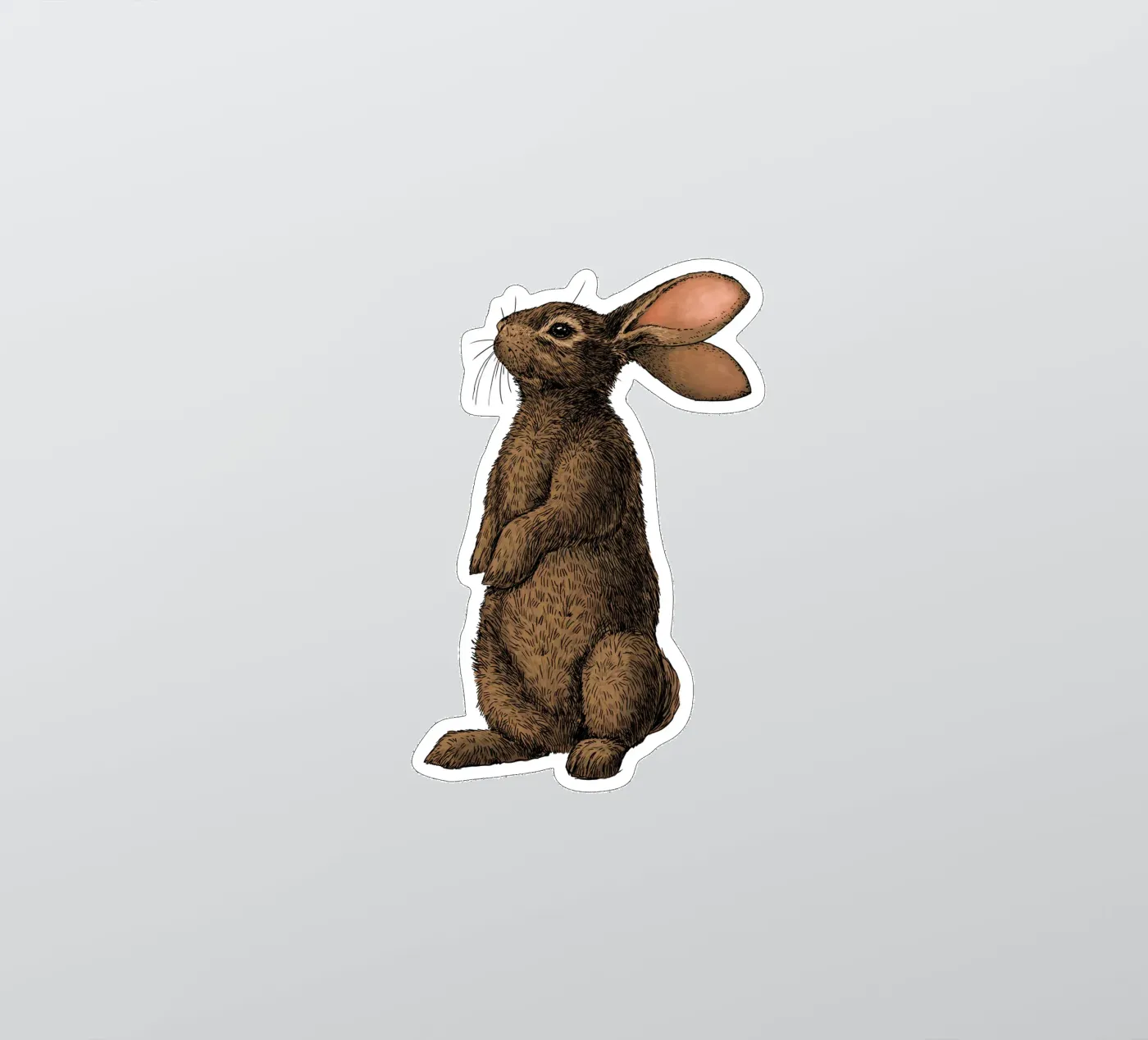 Rabbit sticker by Painted animals