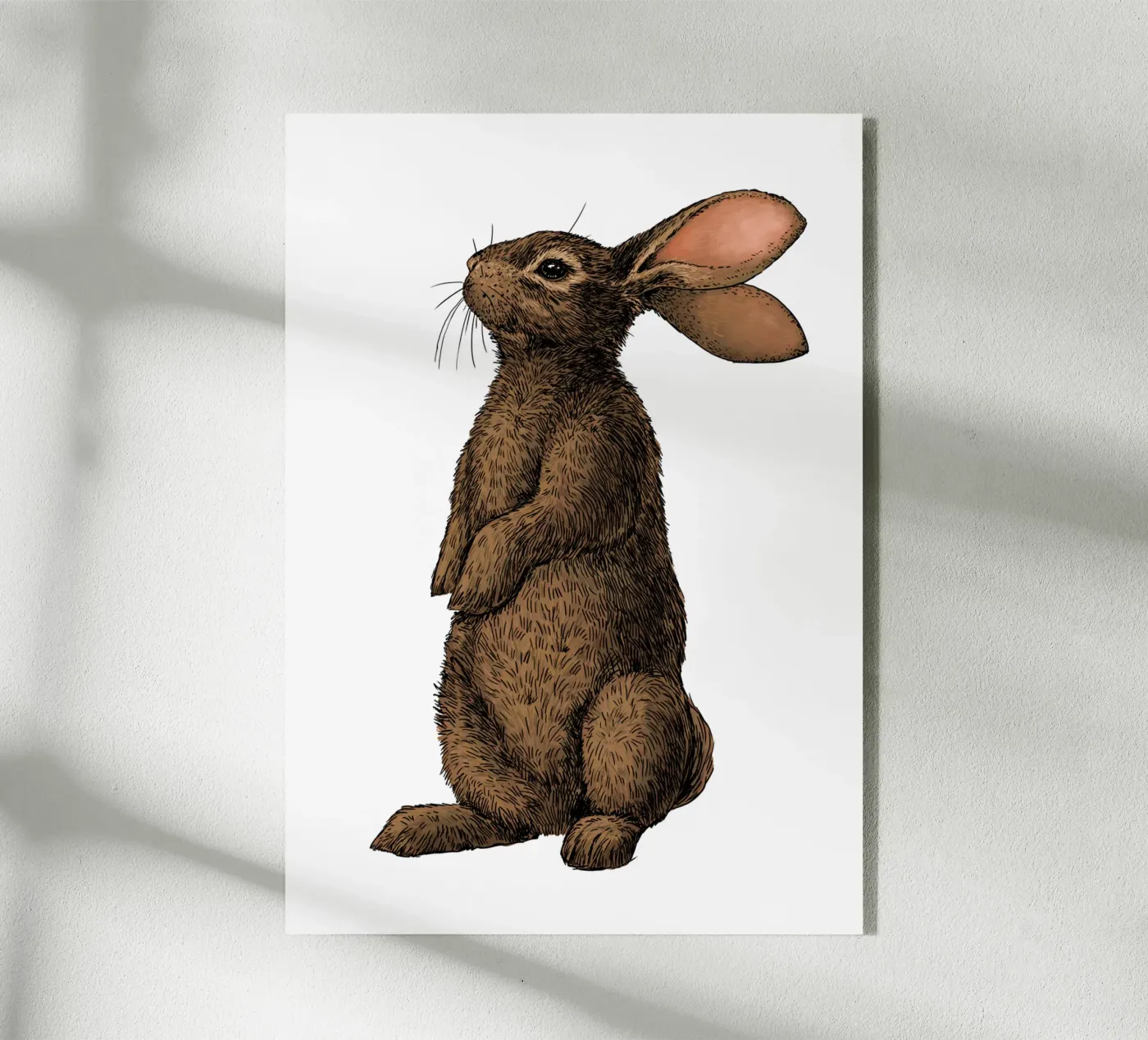 Rabbit plexiglass da Painted animals
