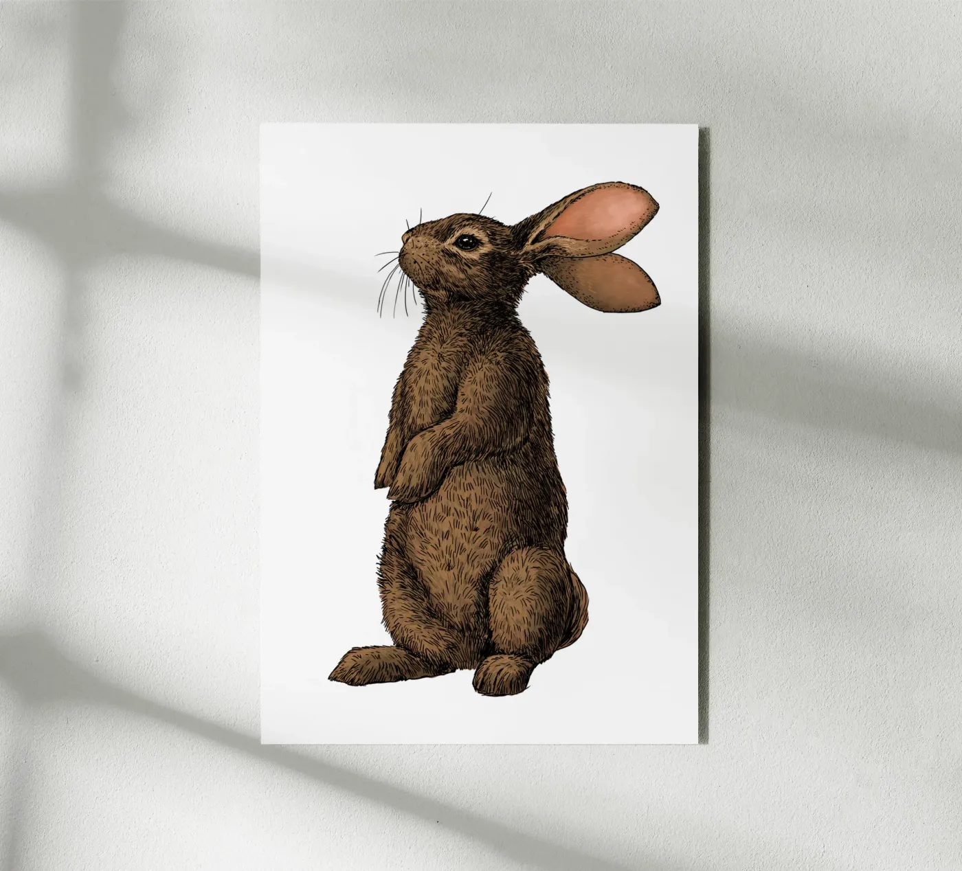 Rabbit forex plate by Painted animals