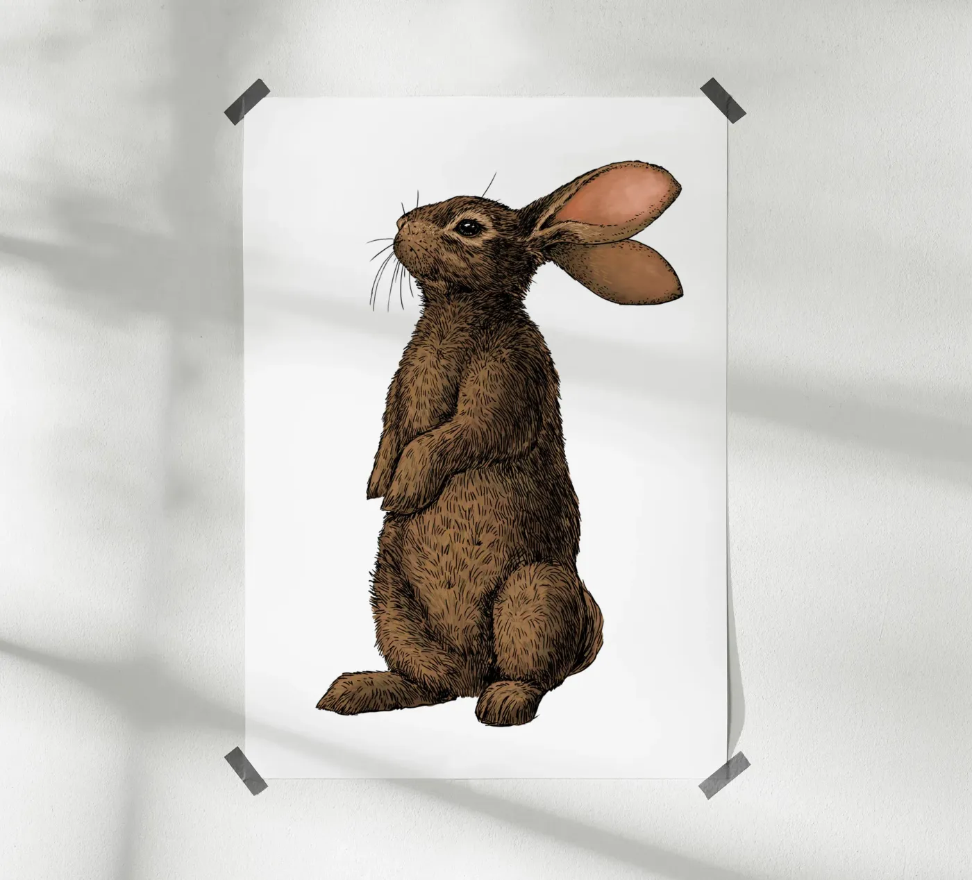 Konijn poster van Painted animals