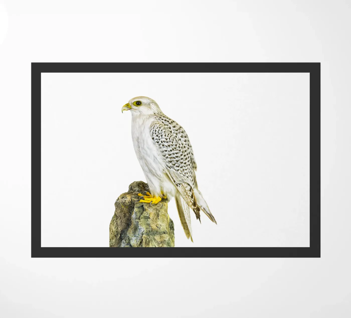 Weißbussard Fußmatte von Curious Collections by Marielle Leenders