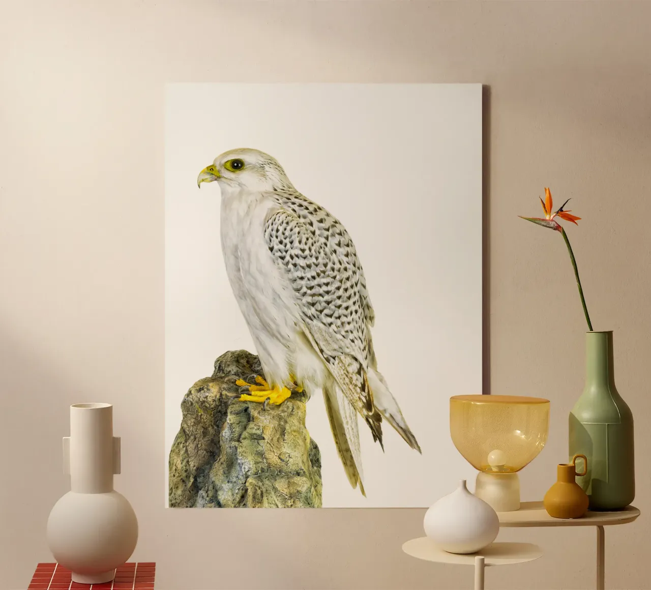 Witte Buizerd canvas met Baklijst van Curious Collections by Marielle Leenders