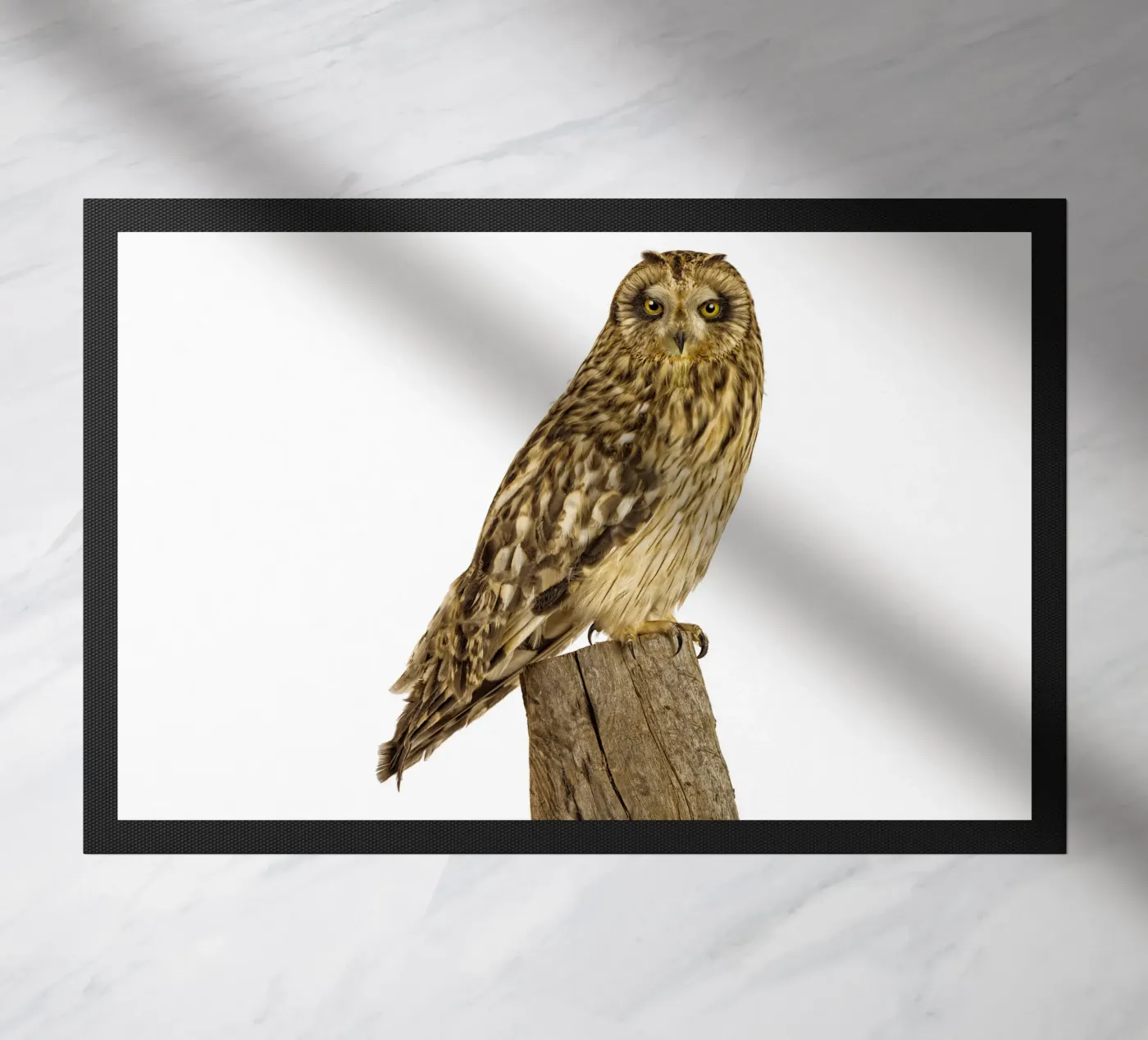 Owl doormat by Curious Collections by Marielle Leenders