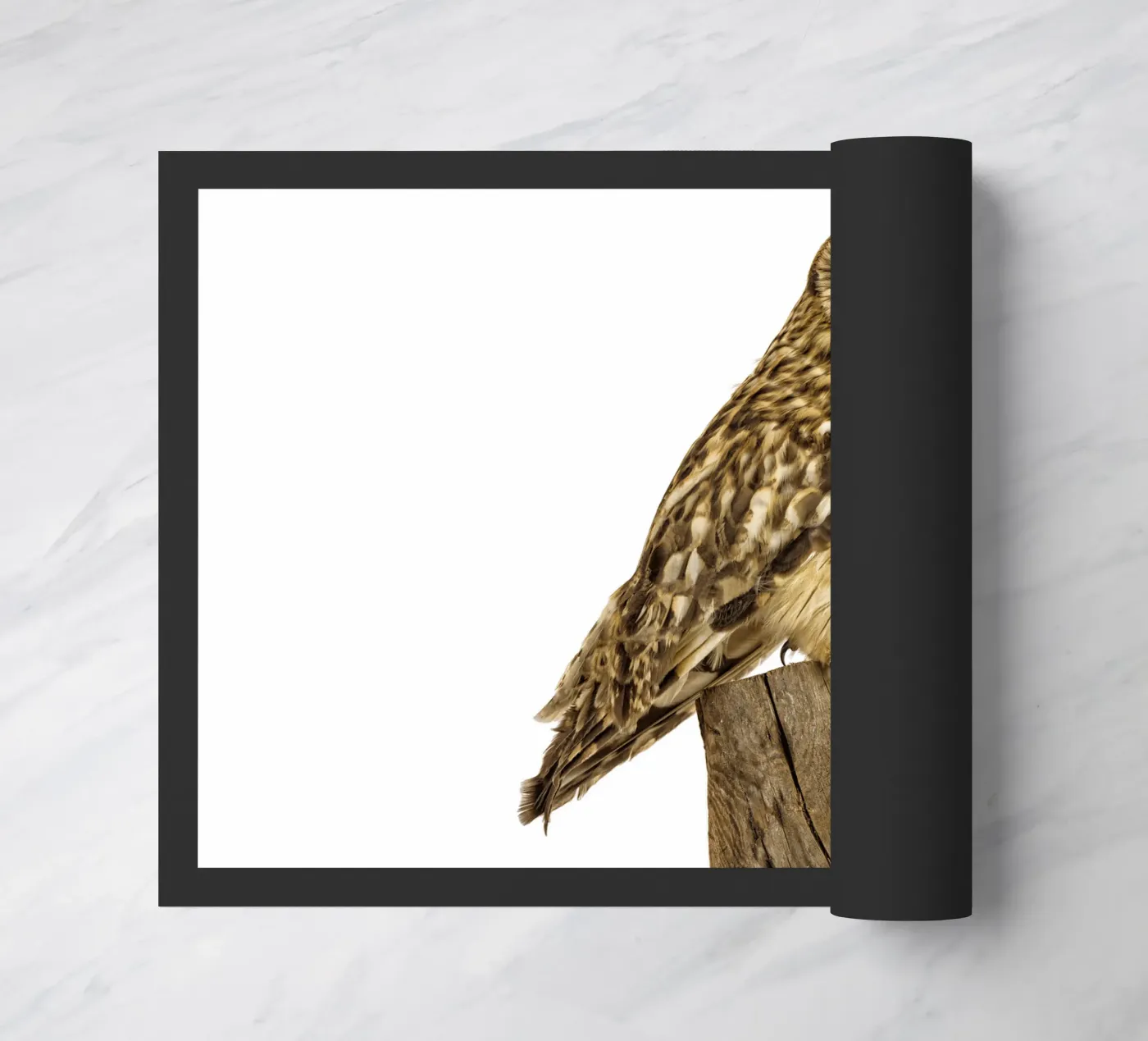 Eule Fußmatte von Curious Collections by Marielle Leenders