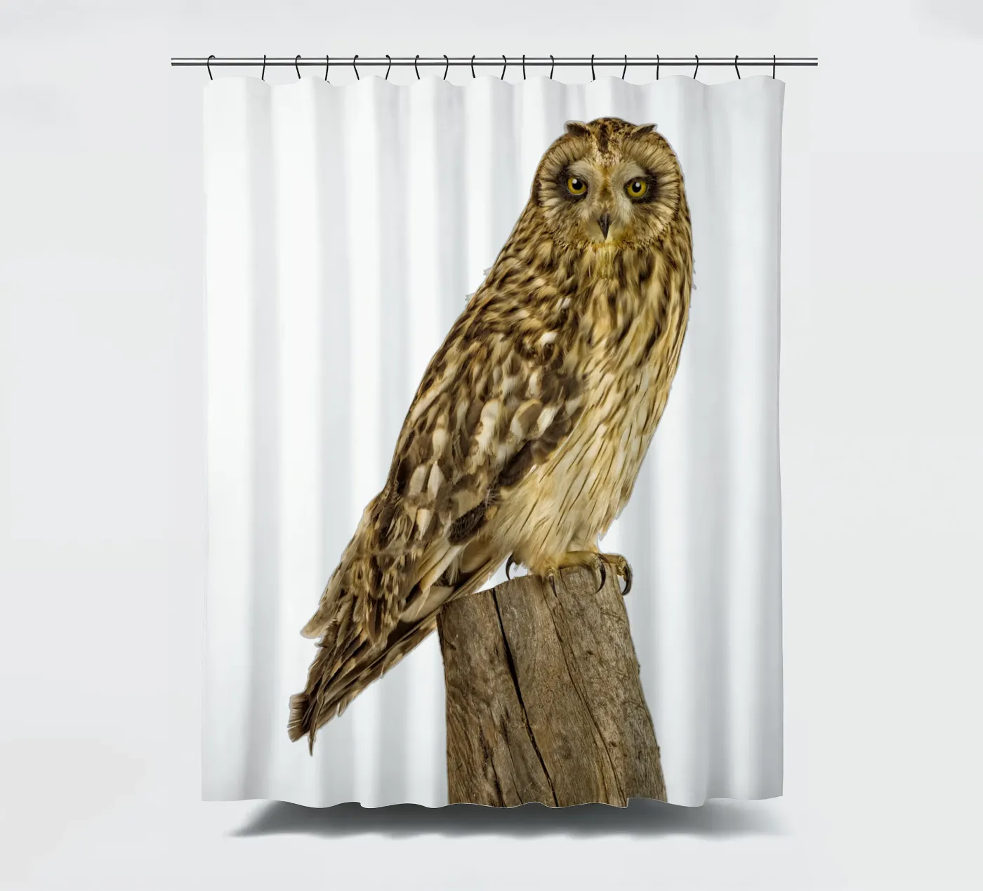 Owl Duschvorhang von Curious Collections by Marielle Leenders