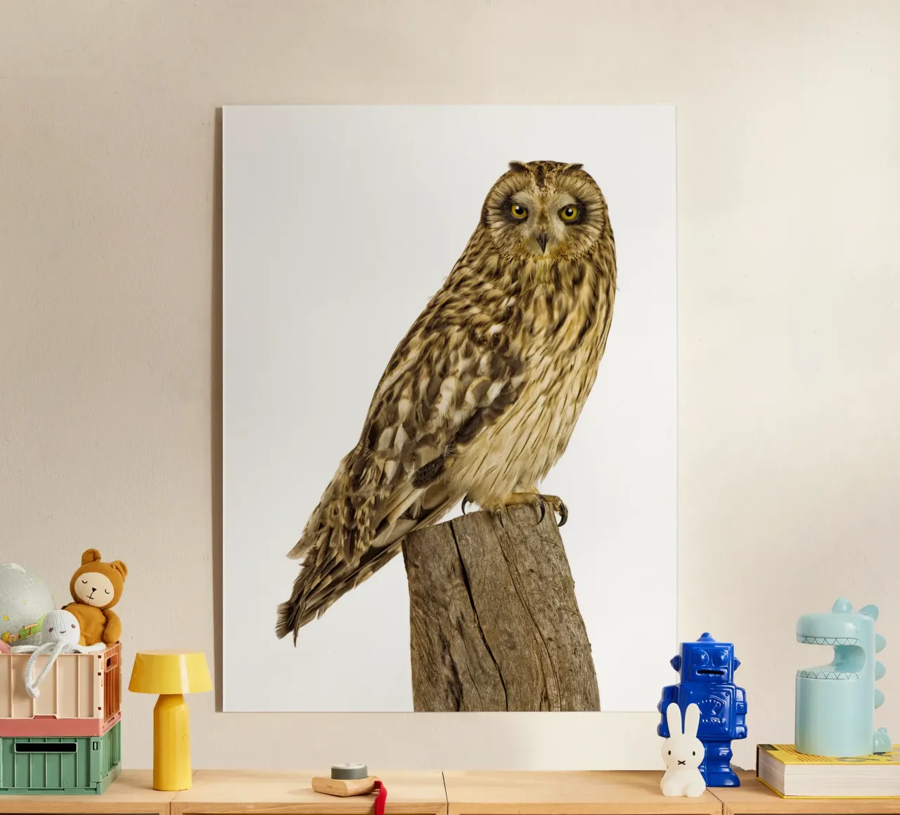 Gufo plexiglass da Curious Collections by Marielle Leenders