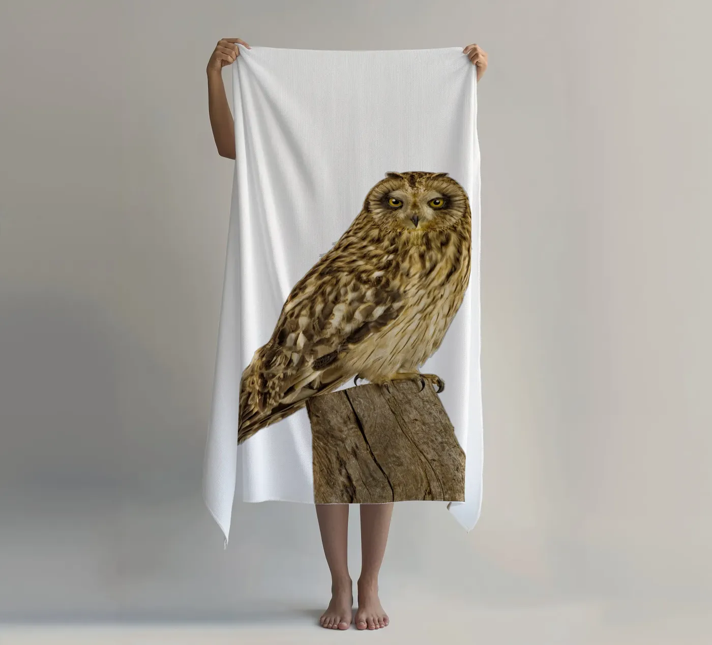 Gufo telo mare da Curious Collections by Marielle Leenders