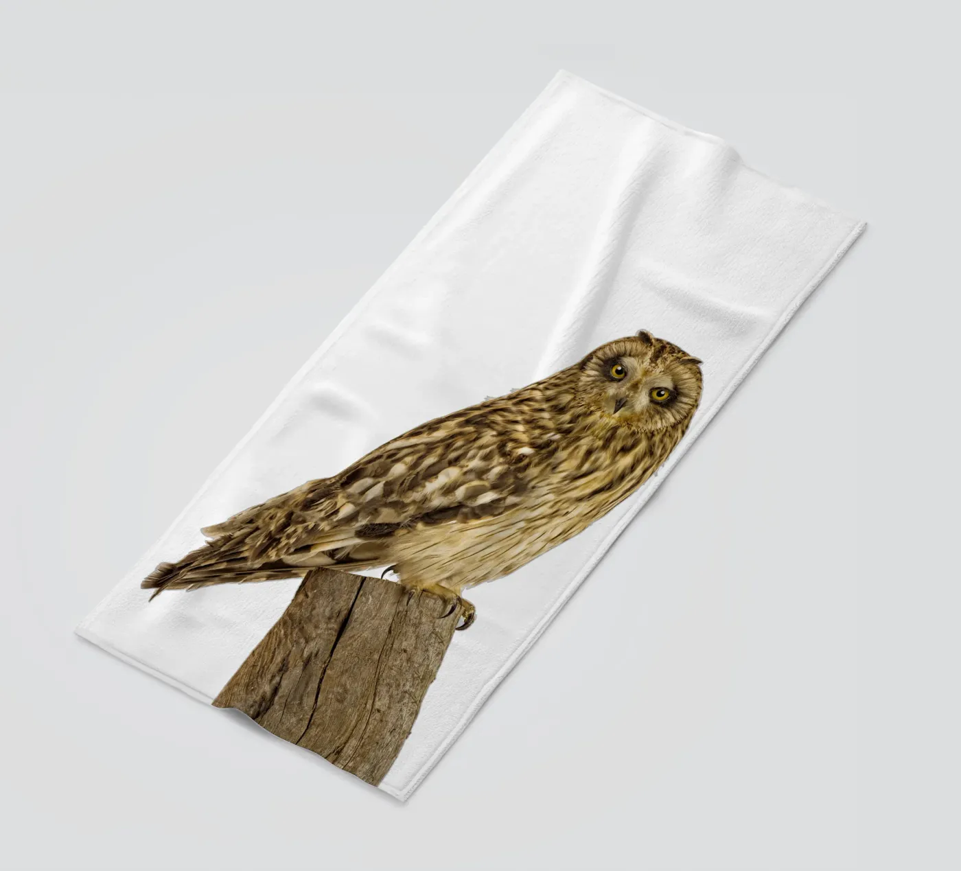 Gufo telo mare da Curious Collections by Marielle Leenders