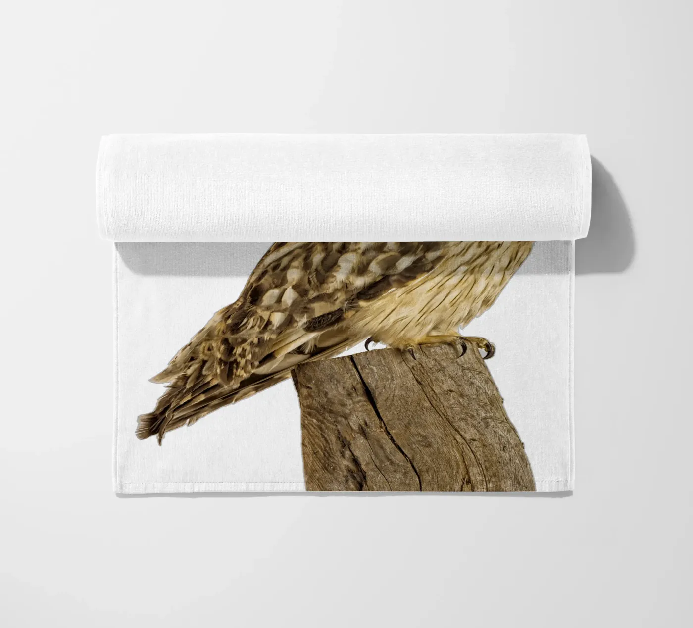 Gufo telo mare da Curious Collections by Marielle Leenders