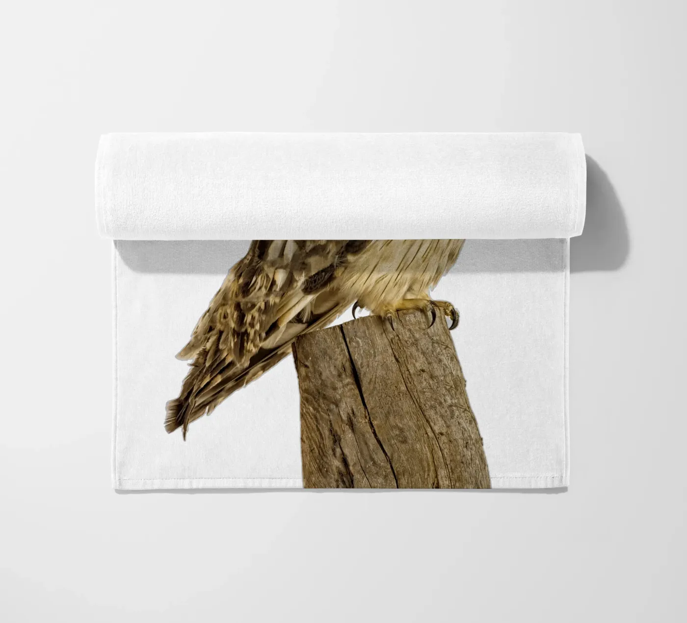 Gufo telo mare da Curious Collections by Marielle Leenders