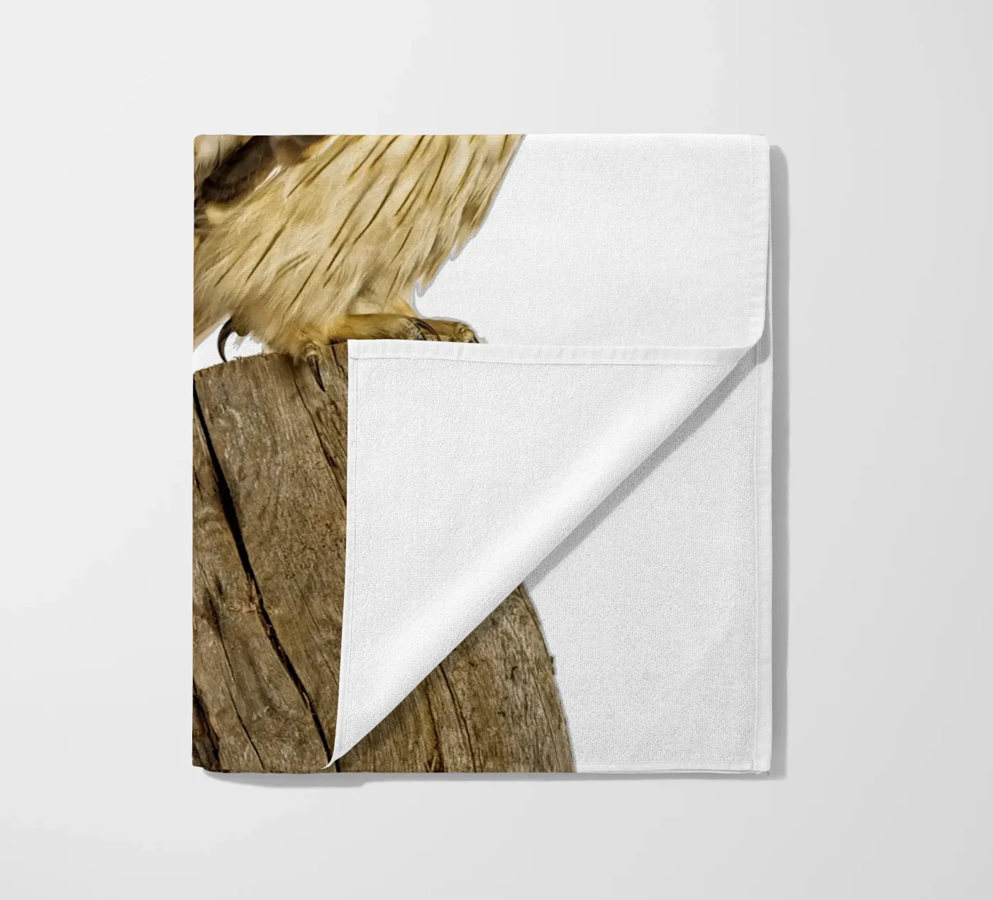 Gufo telo mare da Curious Collections by Marielle Leenders