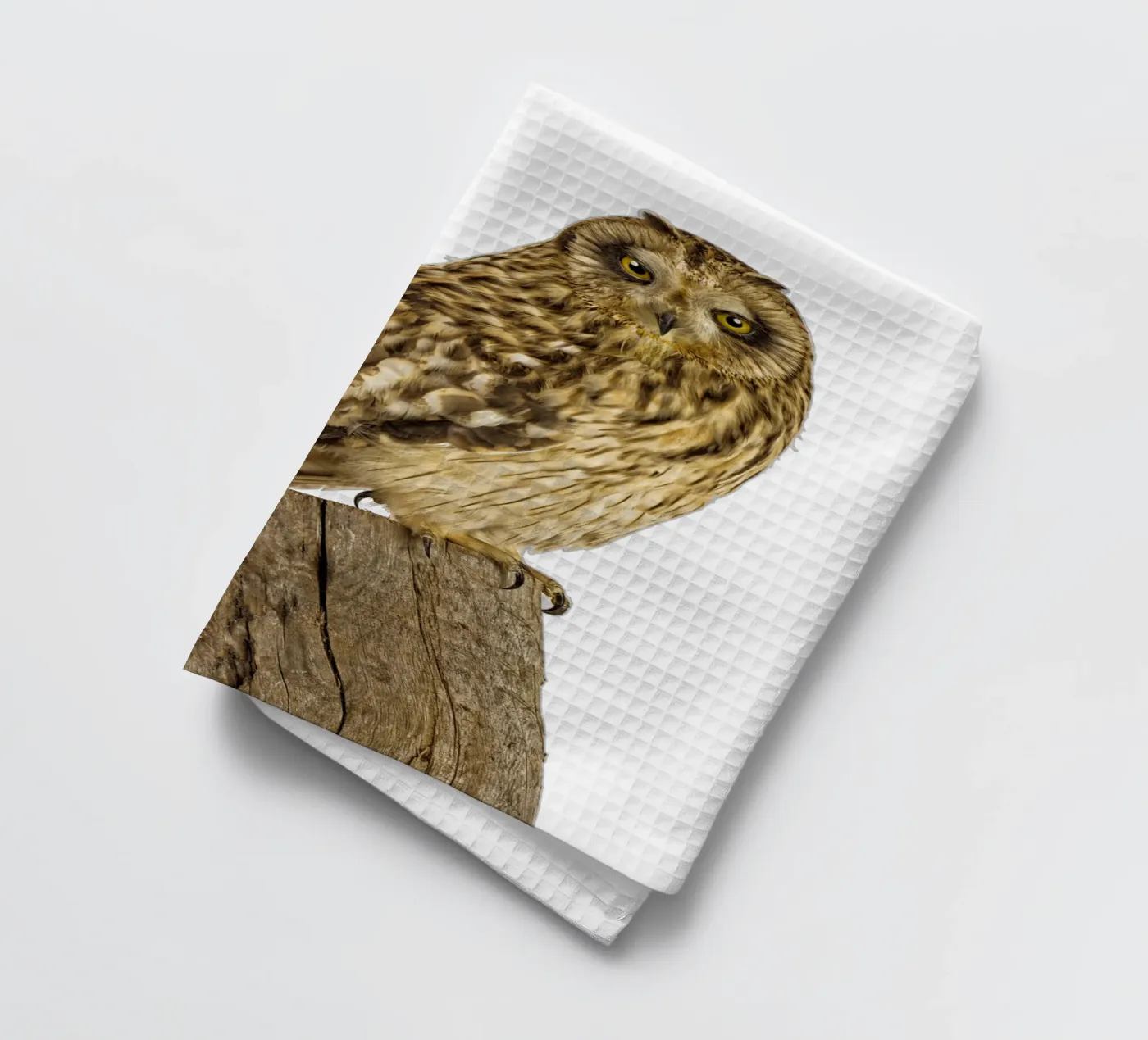 Eule Geschirrtuch von Curious Collections by Marielle Leenders