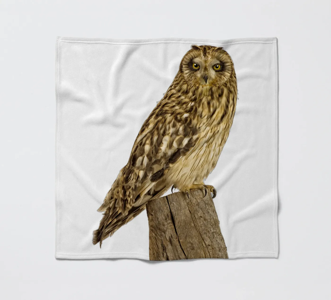 Owl fleece blanket by Curious Collections by Marielle Leenders