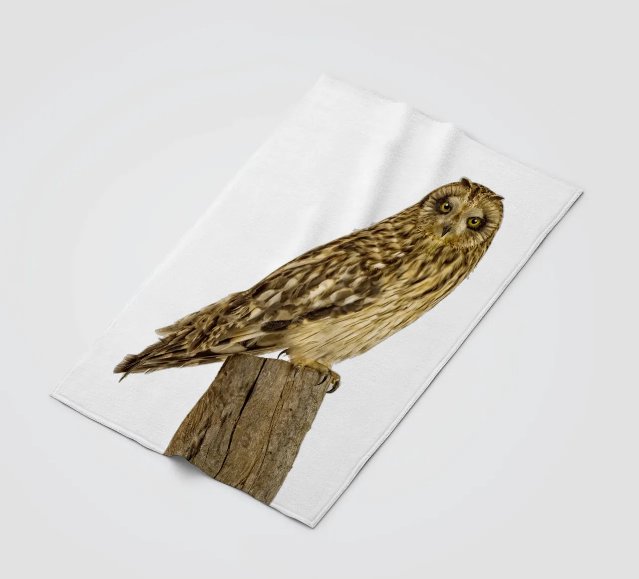 Owl fleece blanket by Curious Collections by Marielle Leenders