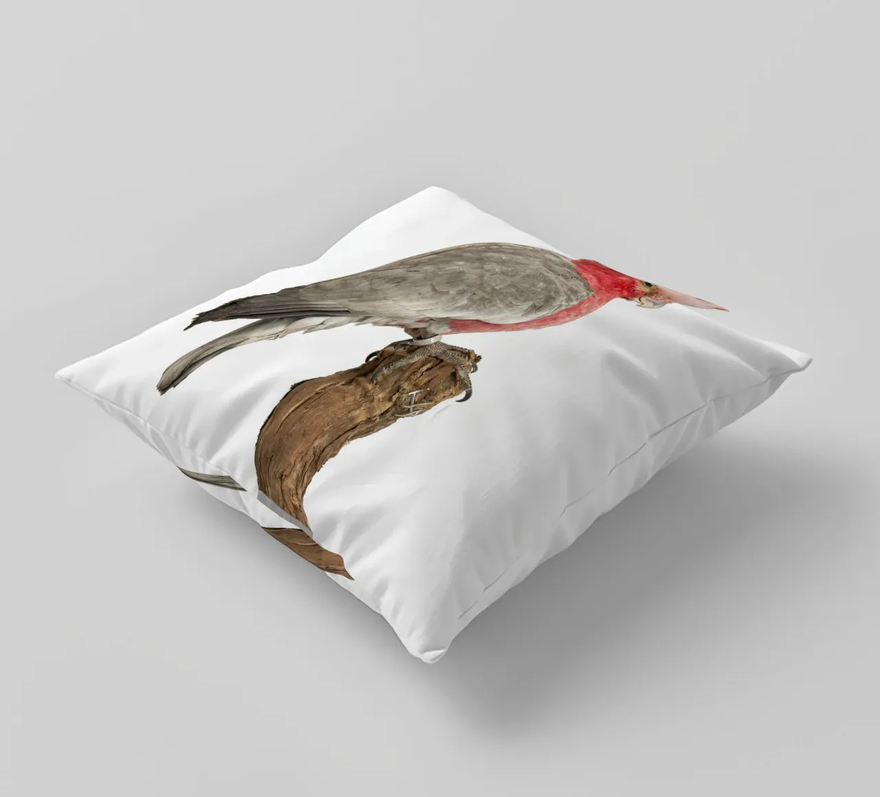 Cacatua rosa cuscino da Curious Collections by Marielle Leenders