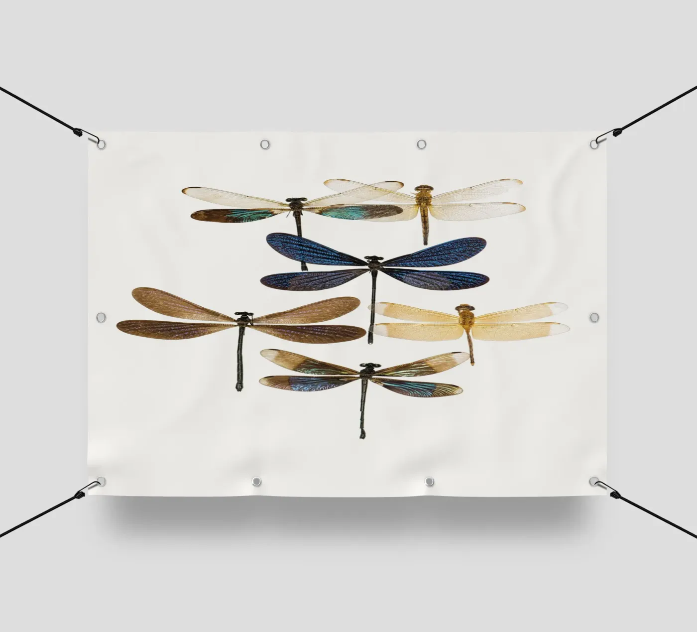 Libellen pvc-zeil van Curious Collections by Marielle Leenders