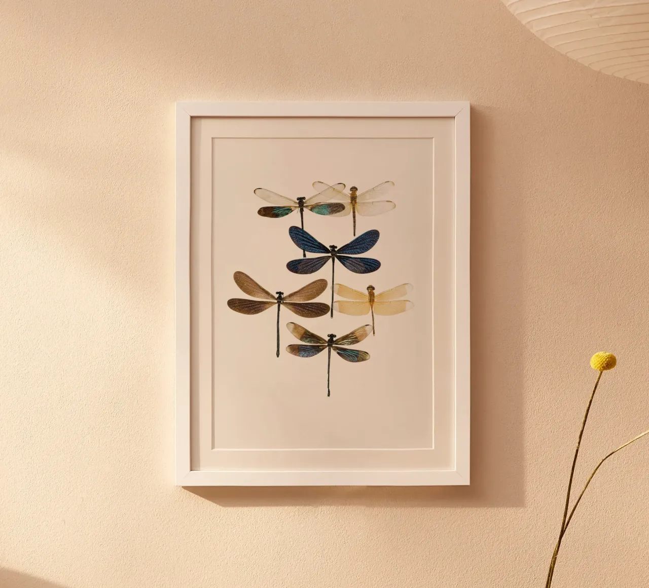 Libellen poster van Curious Collections by Marielle Leenders