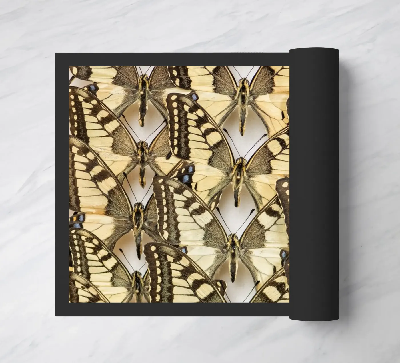 Butterflies zerbino da Curious Collections by Marielle Leenders