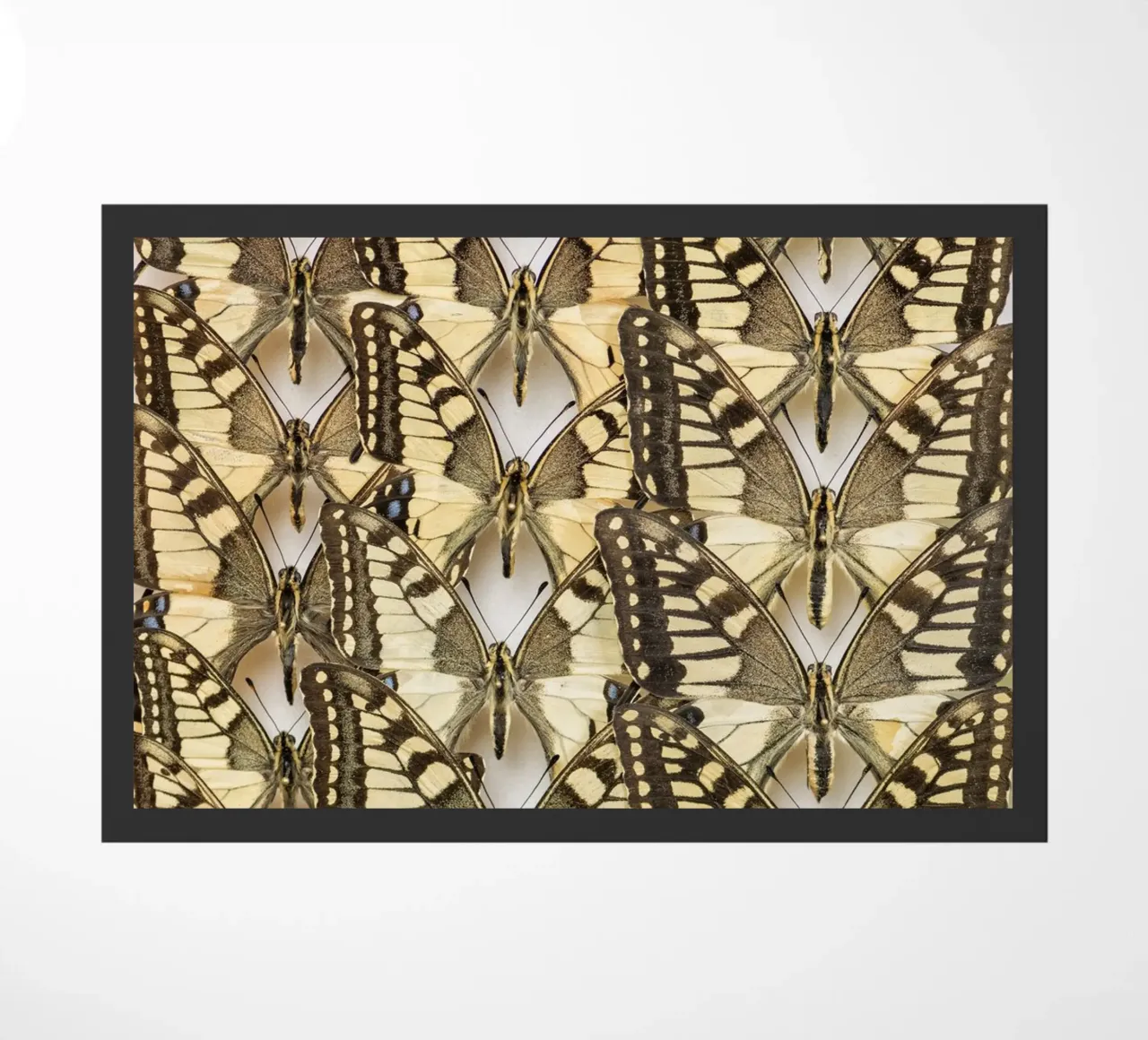 Vlinders deurmat van Curious Collections by Marielle Leenders