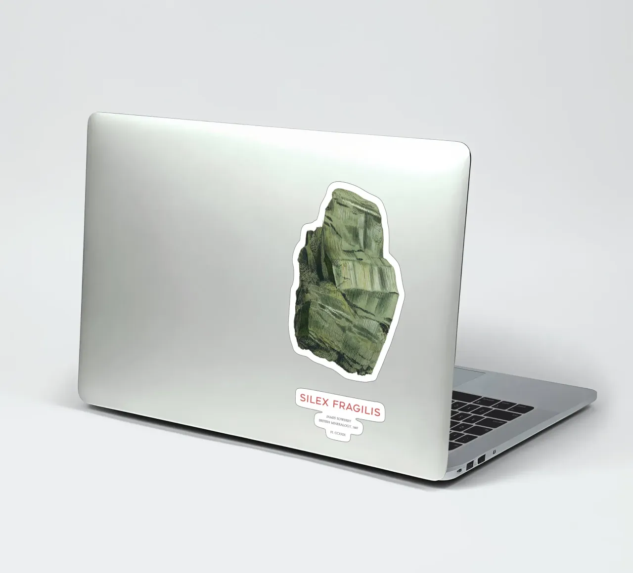 Aktinolith oder Silex Fragilis Sticker von Vintagrafica