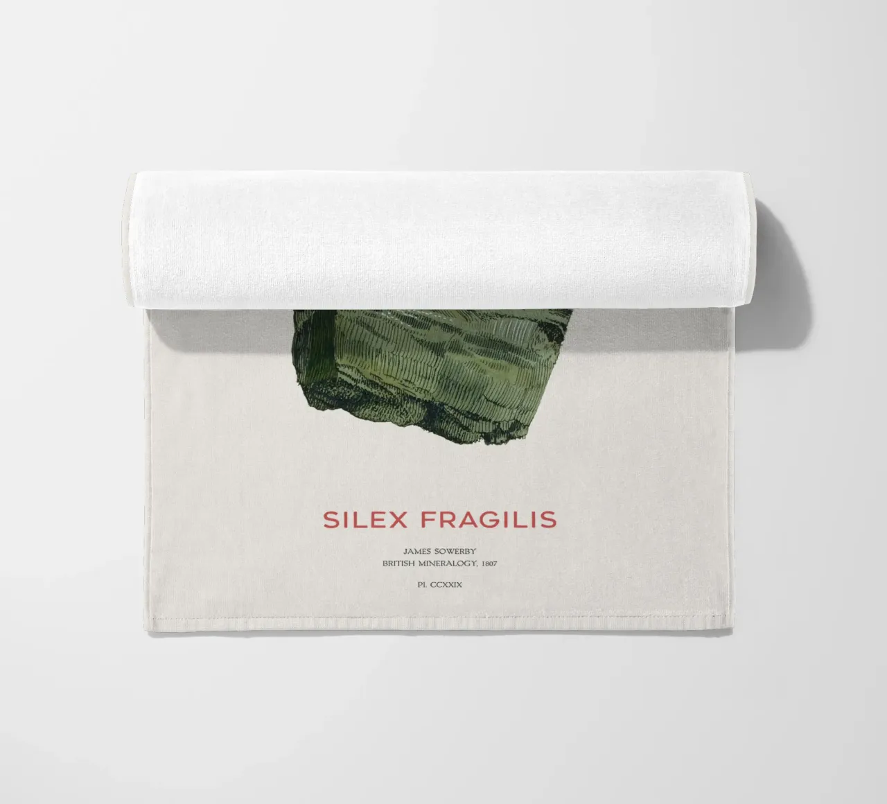 Actinolite o Silex Fragilis telo mare da Vintagrafica