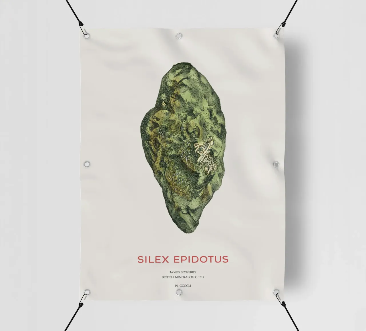 Epidot oder Silex Epidotus PVC Plane von Vintagrafica