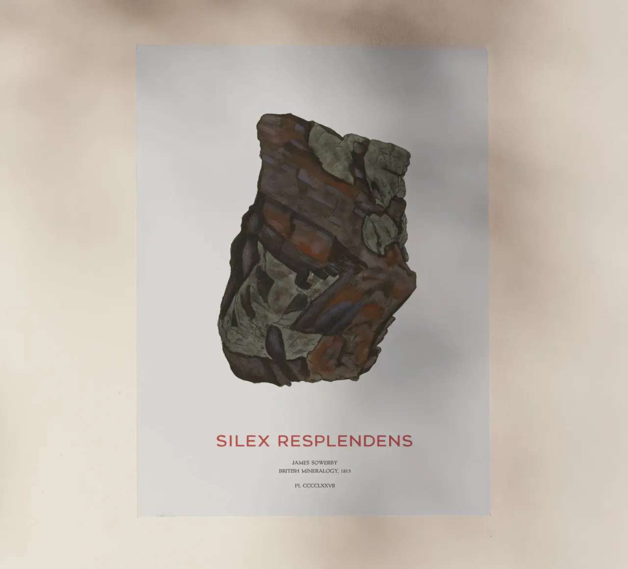 Iperstene o Silex Resplendens pellicola backlit da Vintagrafica