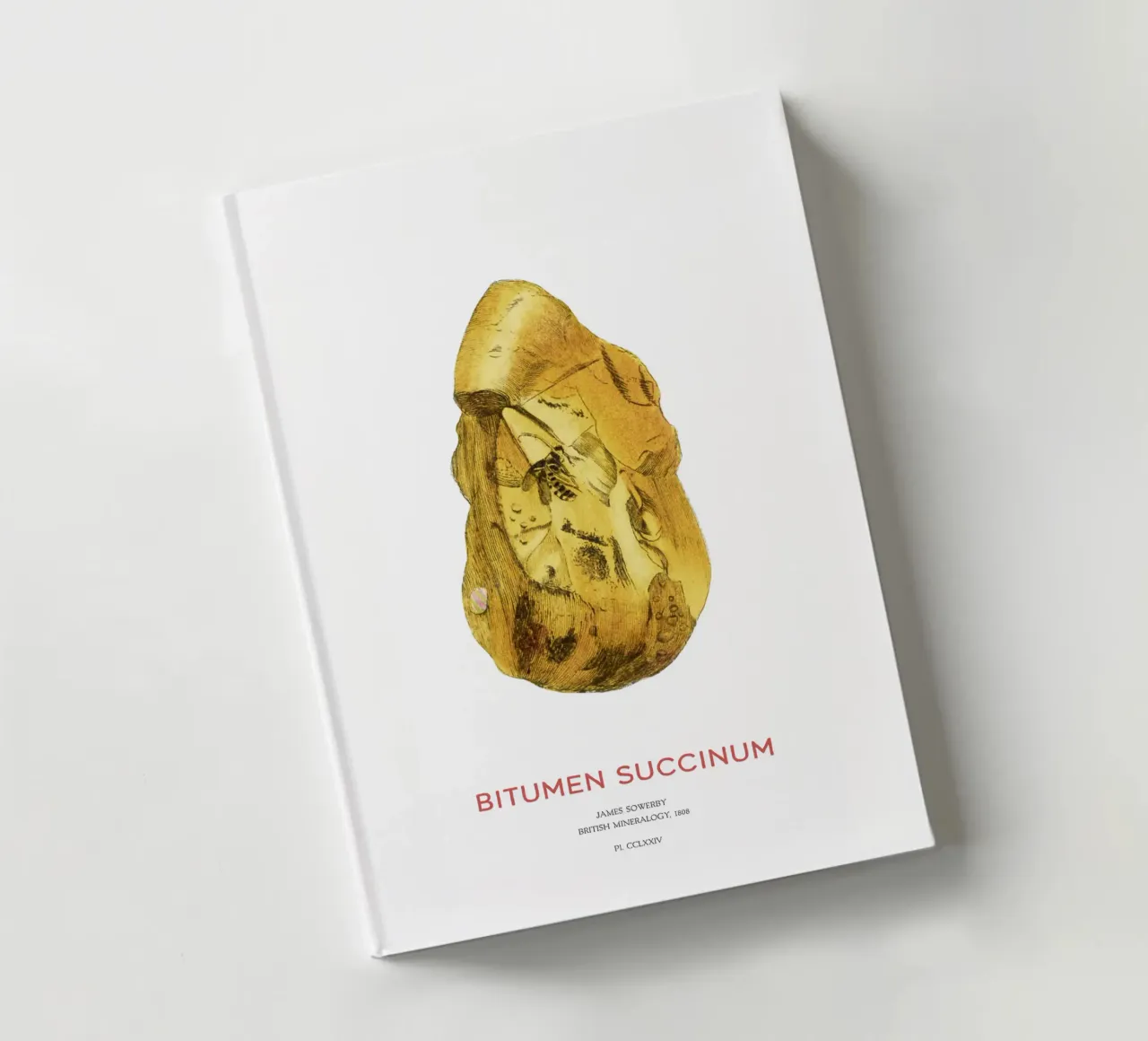 Amber or Bitumen Succinum notebook by Vintagrafica
