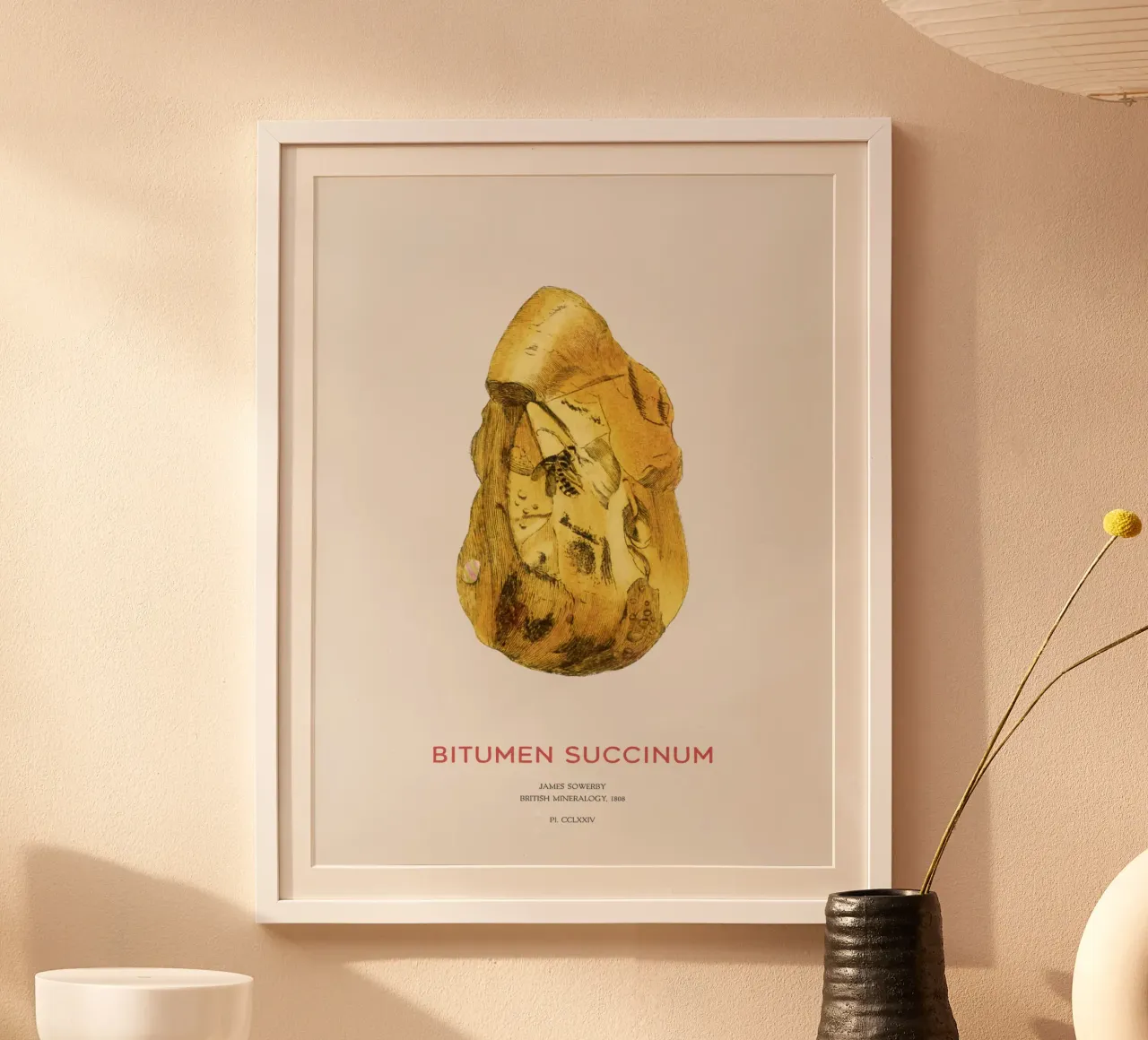 Bernstein oder Bitumen Succinum Hahnemühle von Vintagrafica