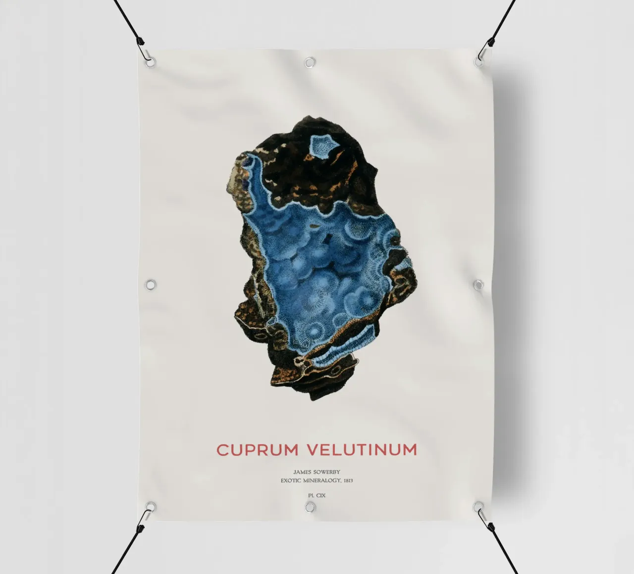 Cianotrichite o Cuprum Velutinum telo in pvc da Vintagrafica