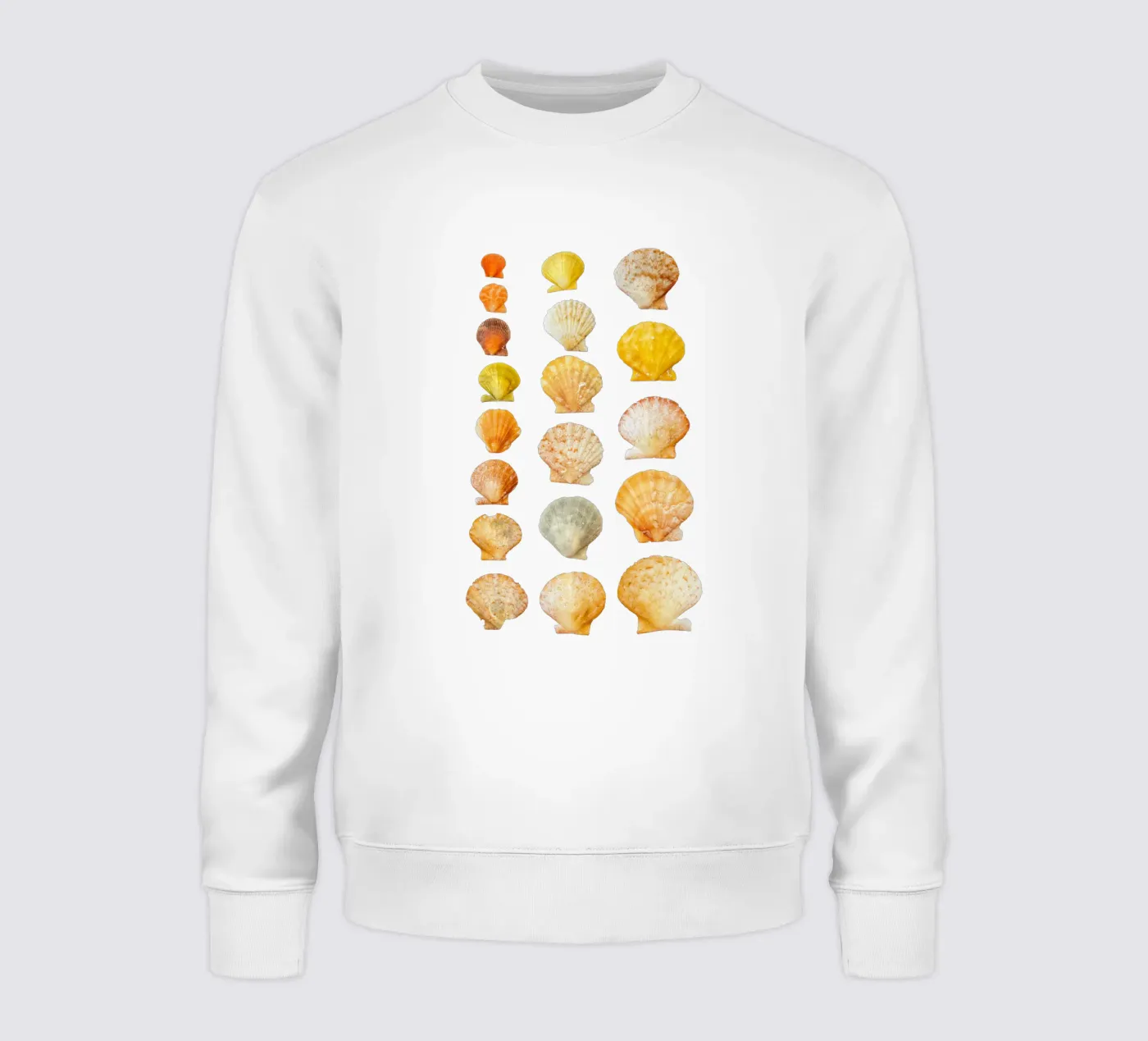 Seashells sweatshirt by Curious Collections by Marielle Leenders