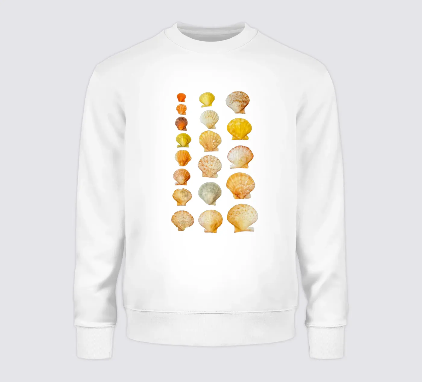 Seashells sweatshirt by Curious Collections by Marielle Leenders