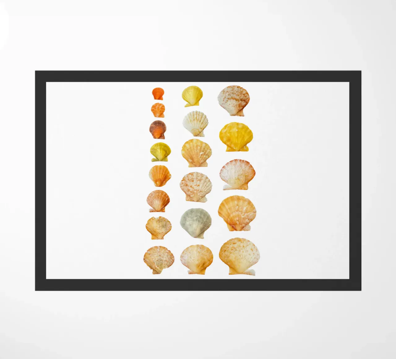 Seashells doormat by Curious Collections by Marielle Leenders