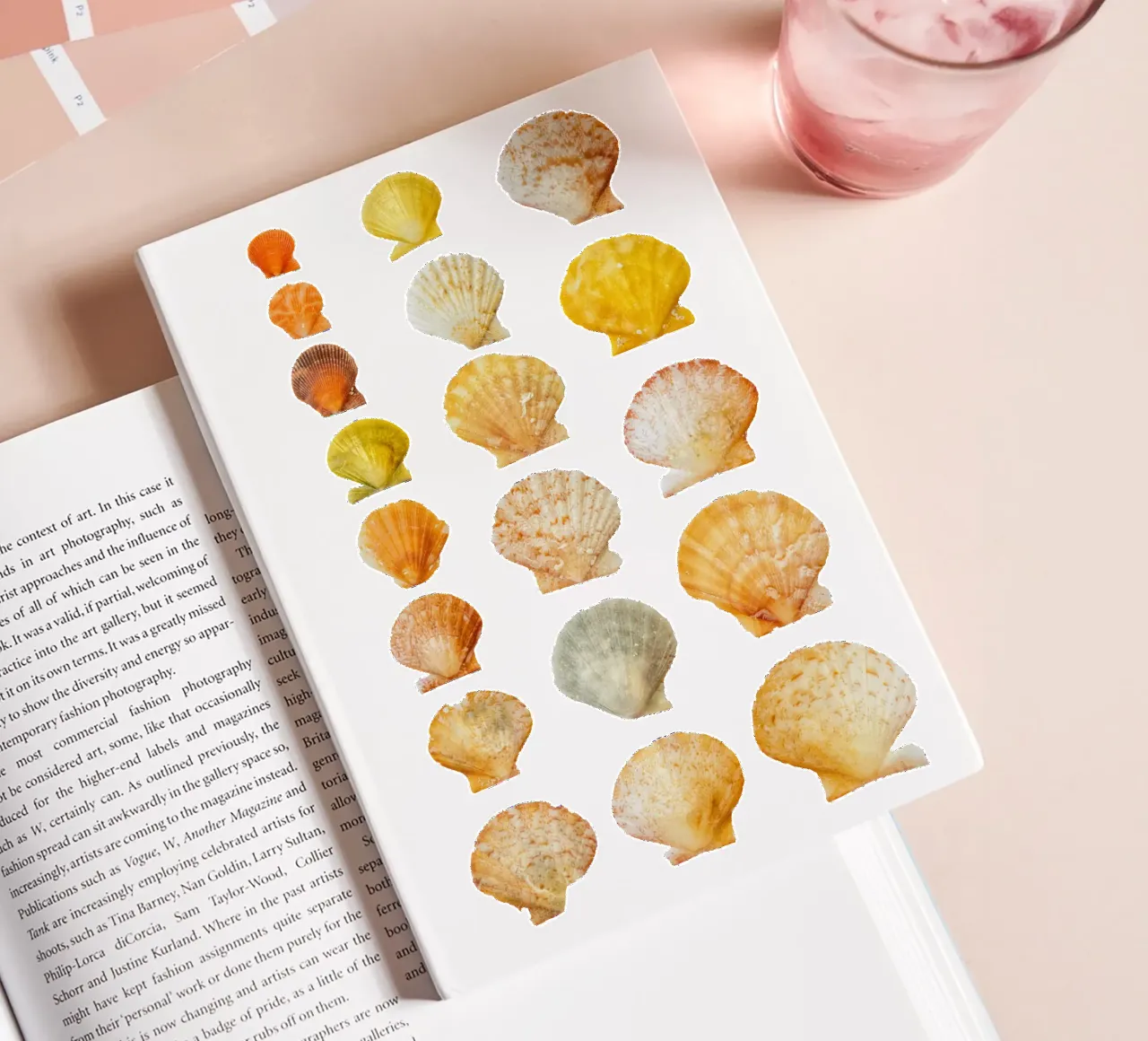 Seashells notebook by Curious Collections by Marielle Leenders