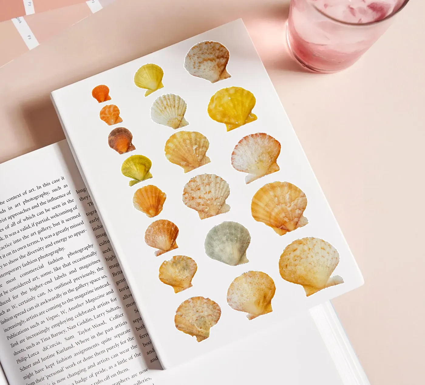 Seashells Notizbuch von Curious Collections by Marielle Leenders