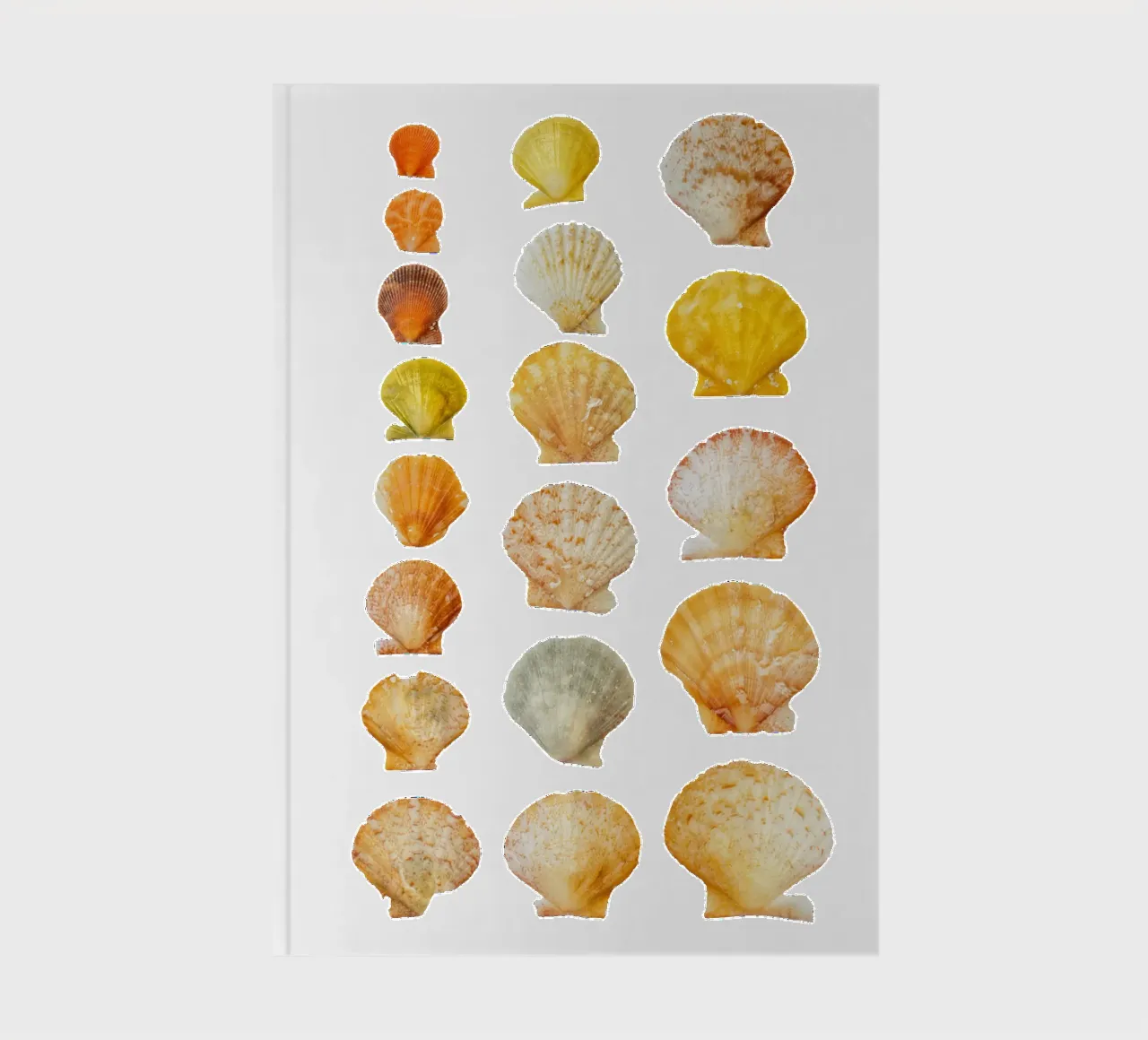 Seashells notebook by Curious Collections by Marielle Leenders