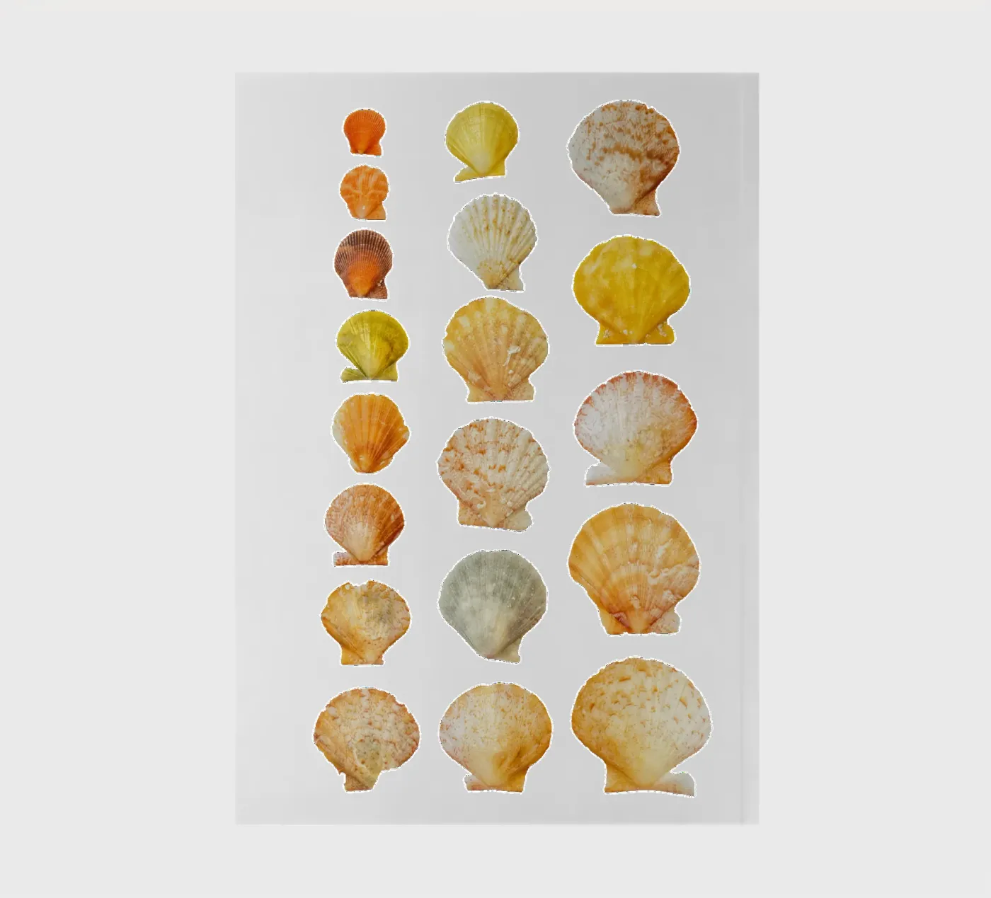 Seashells Notizbuch von Curious Collections by Marielle Leenders