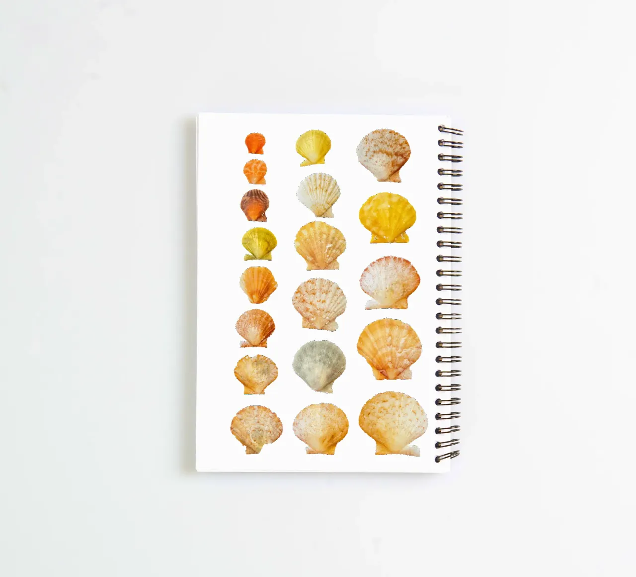 Seashells spiral notebook by Curious Collections by Marielle Leenders
