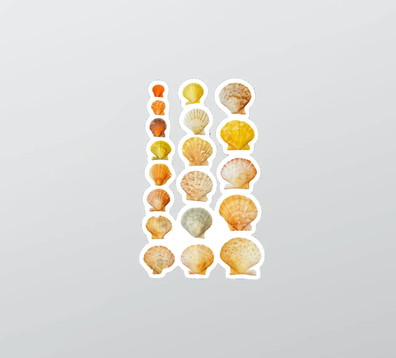 Seashells sticker by Curious Collections by Marielle Leenders