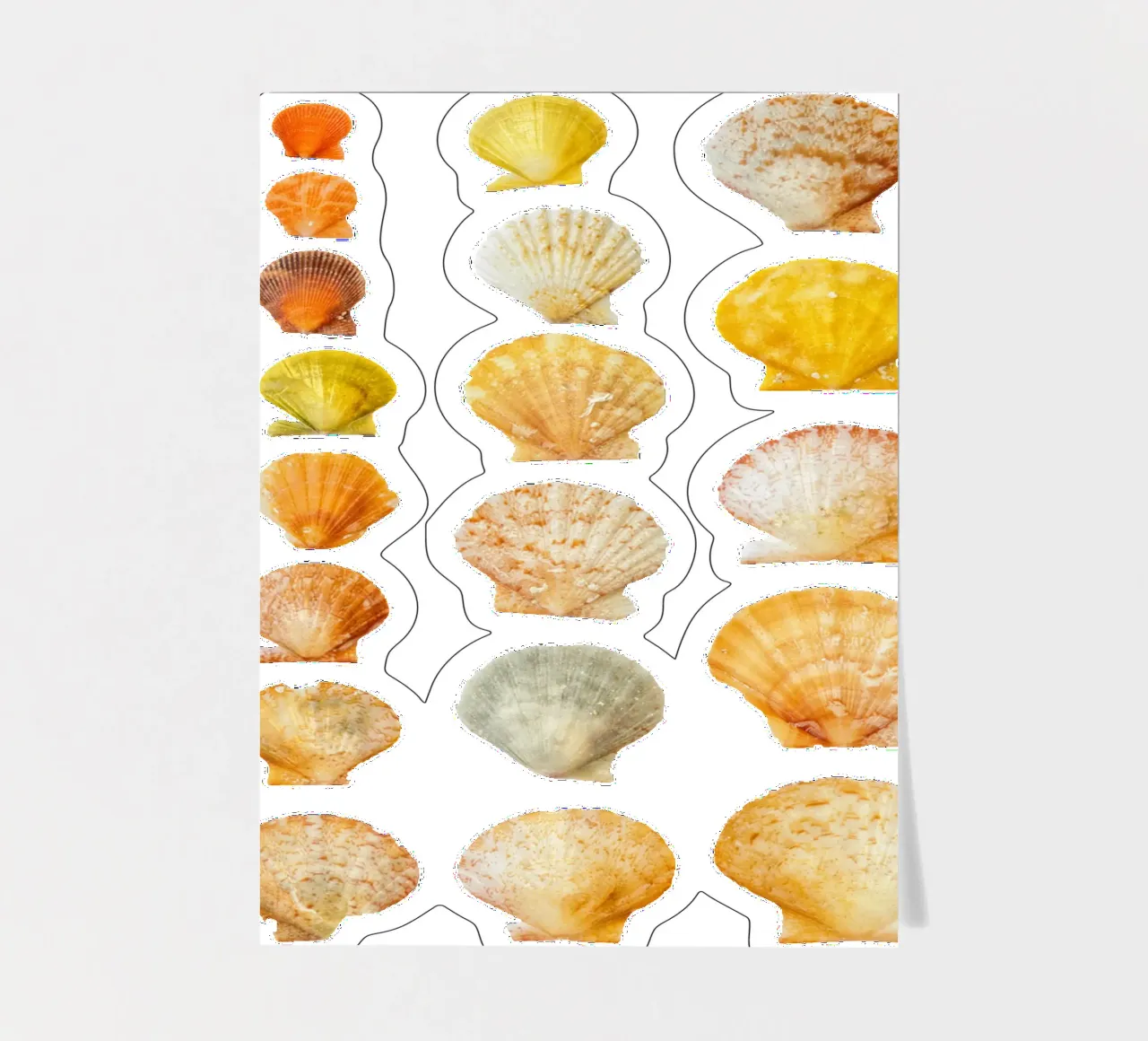 Seashells sticker sheet by Curious Collections by Marielle Leenders