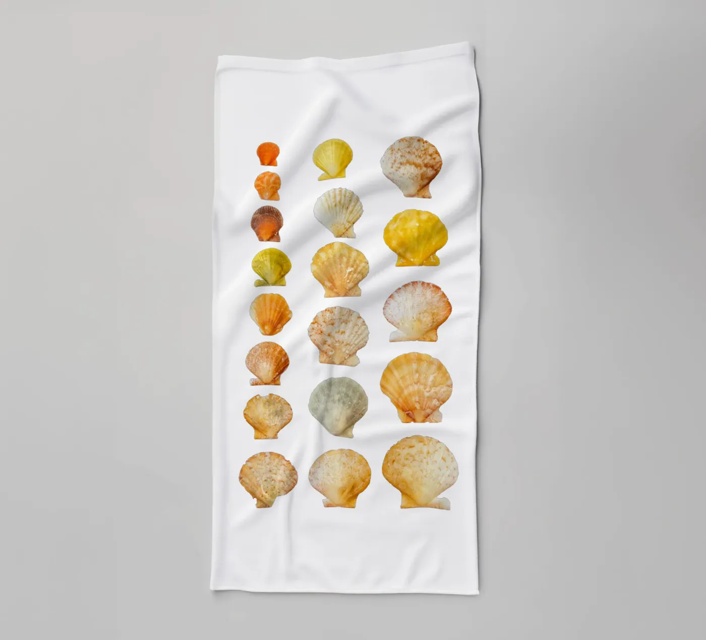 Seashells Handtuch von Curious Collections by Marielle Leenders