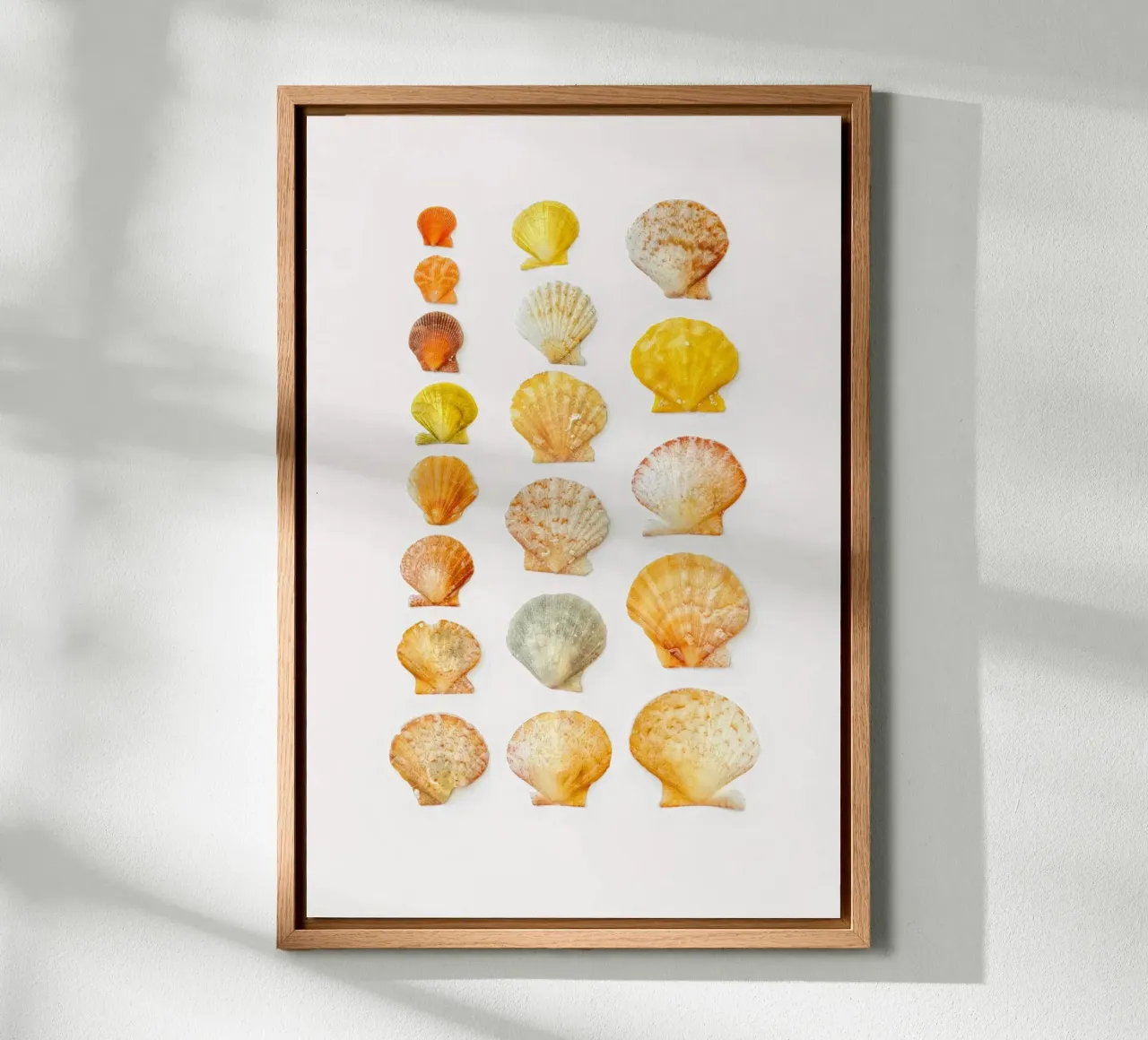 Seashells canvas by Curious Collections by Marielle Leenders