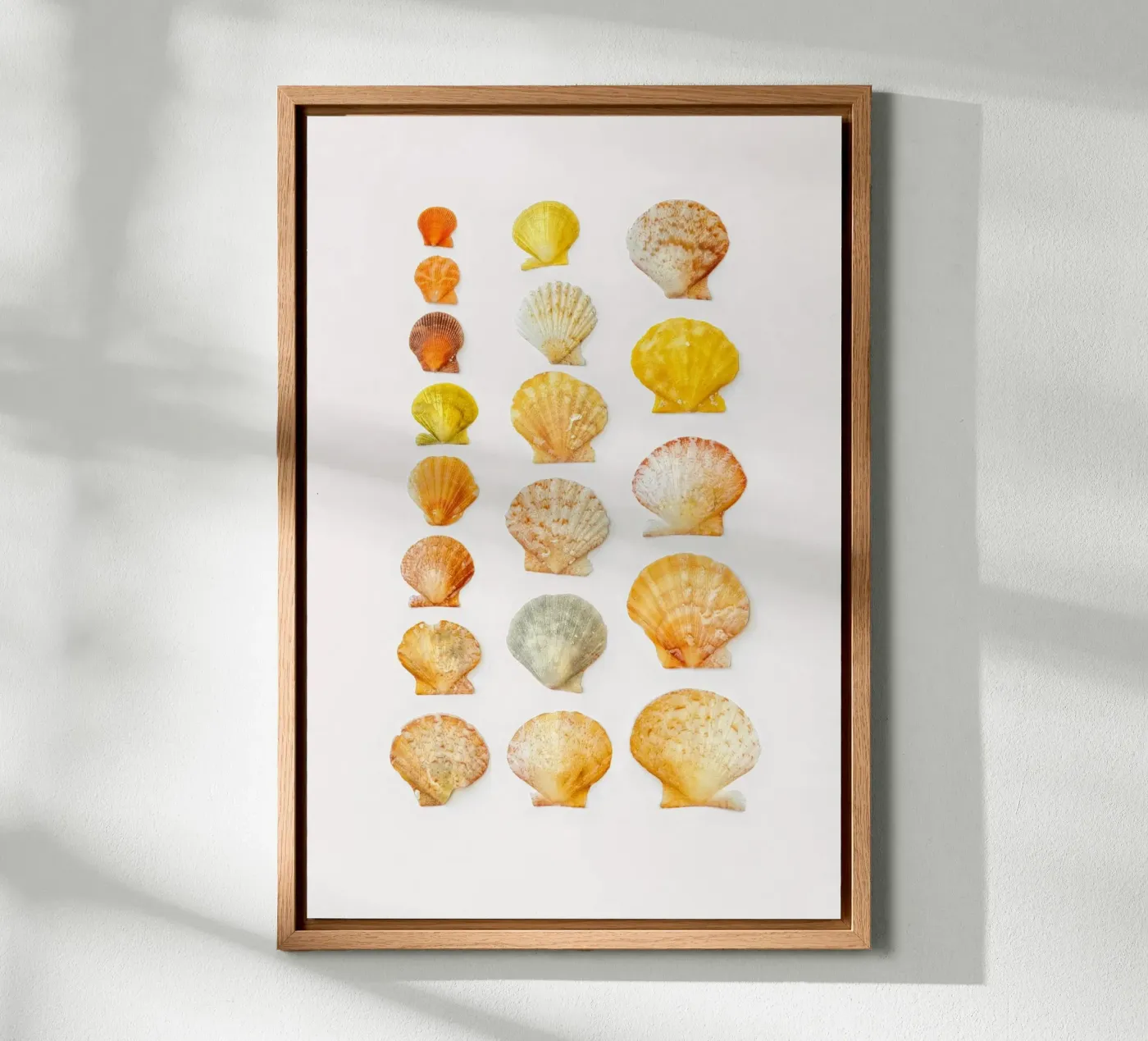 Seashells canvas van Curious Collections by Marielle Leenders