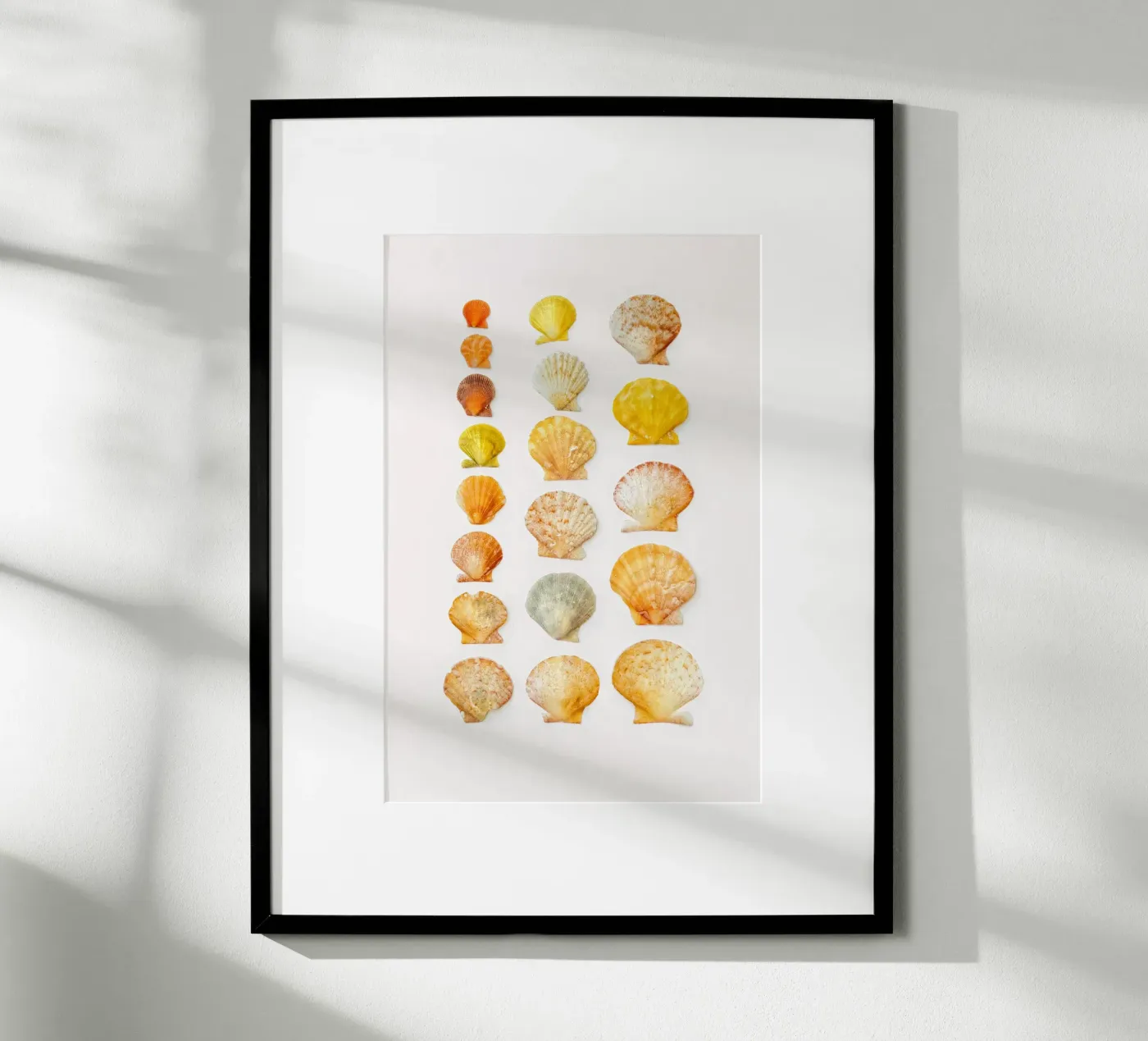 Seashells poster van Curious Collections by Marielle Leenders