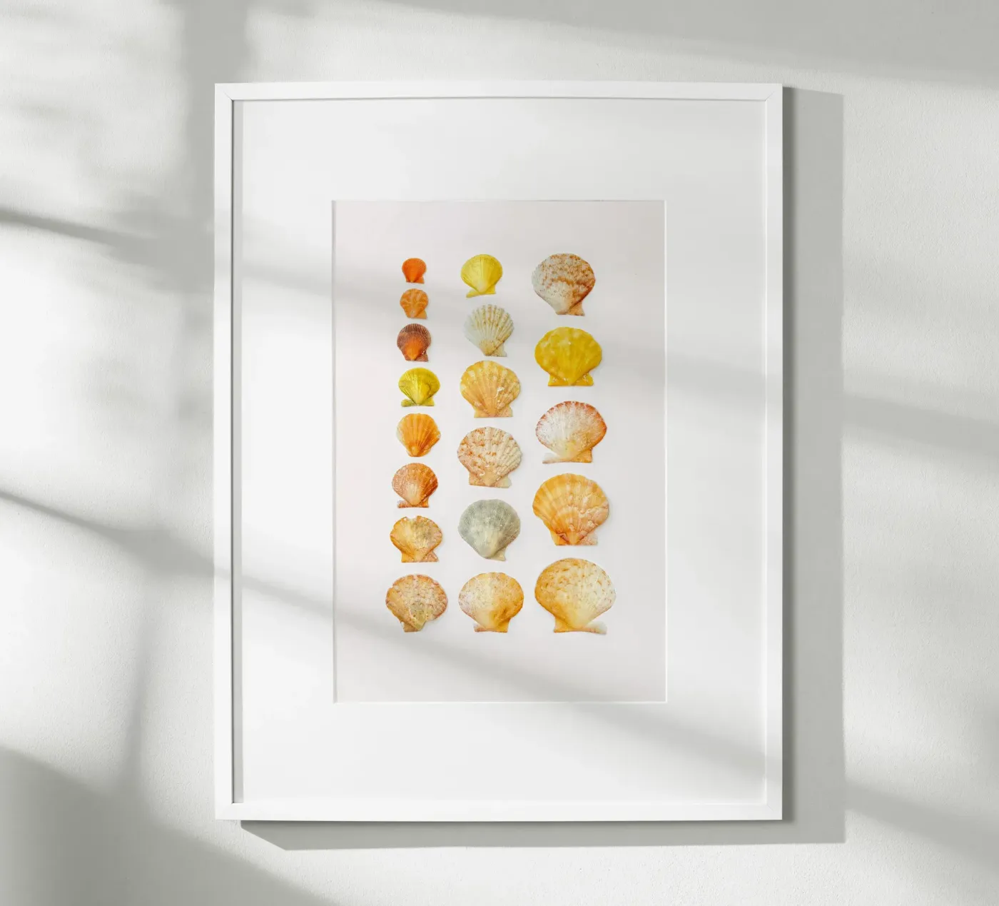 Seashells poster van Curious Collections by Marielle Leenders