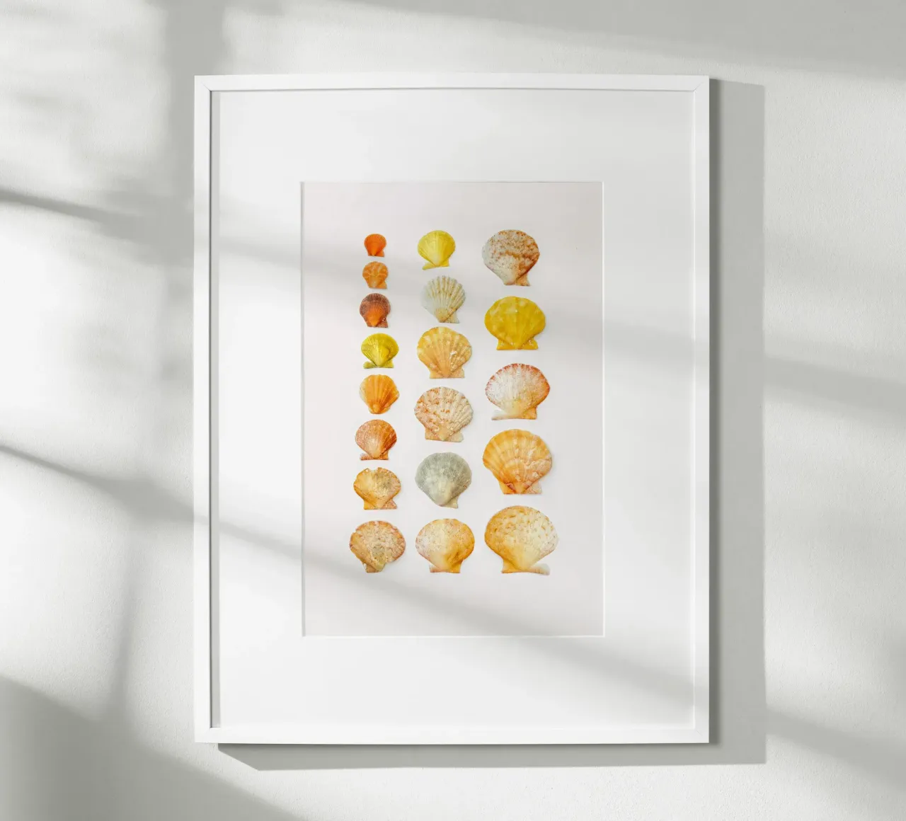 Seashells poster by Curious Collections by Marielle Leenders