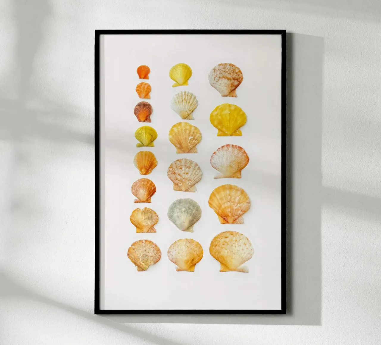 Seashells poster by Curious Collections by Marielle Leenders